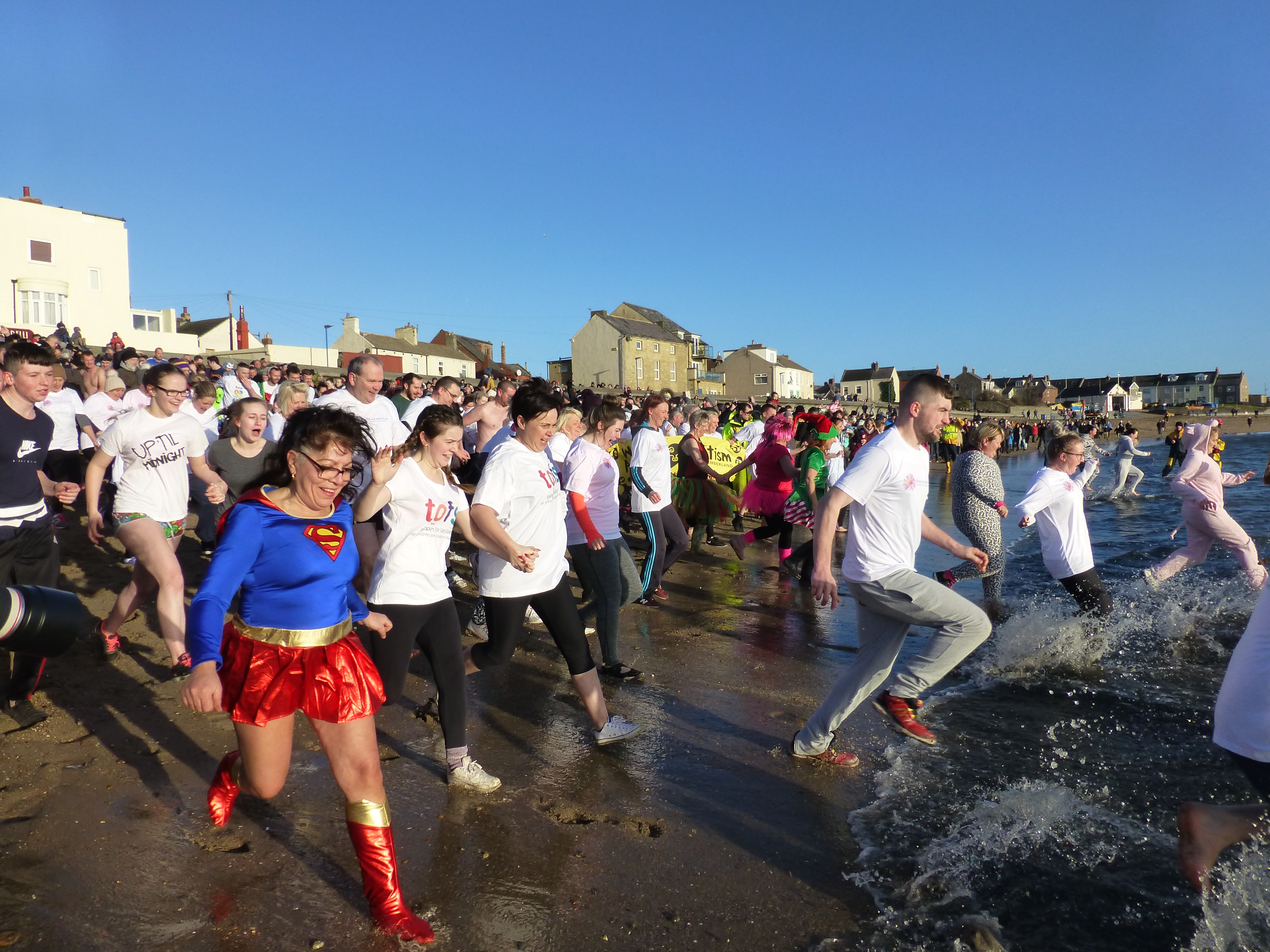 The dippers dash to the sea