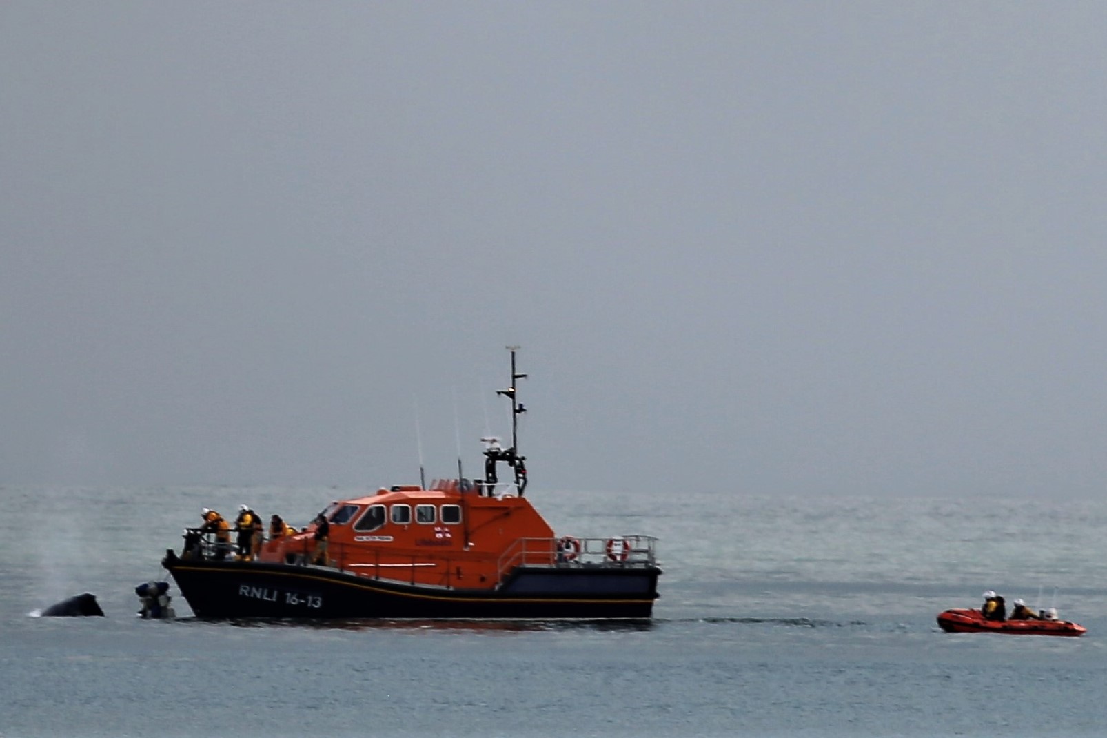 Salcombe and Dart volunteers rescuing humpbacked whale