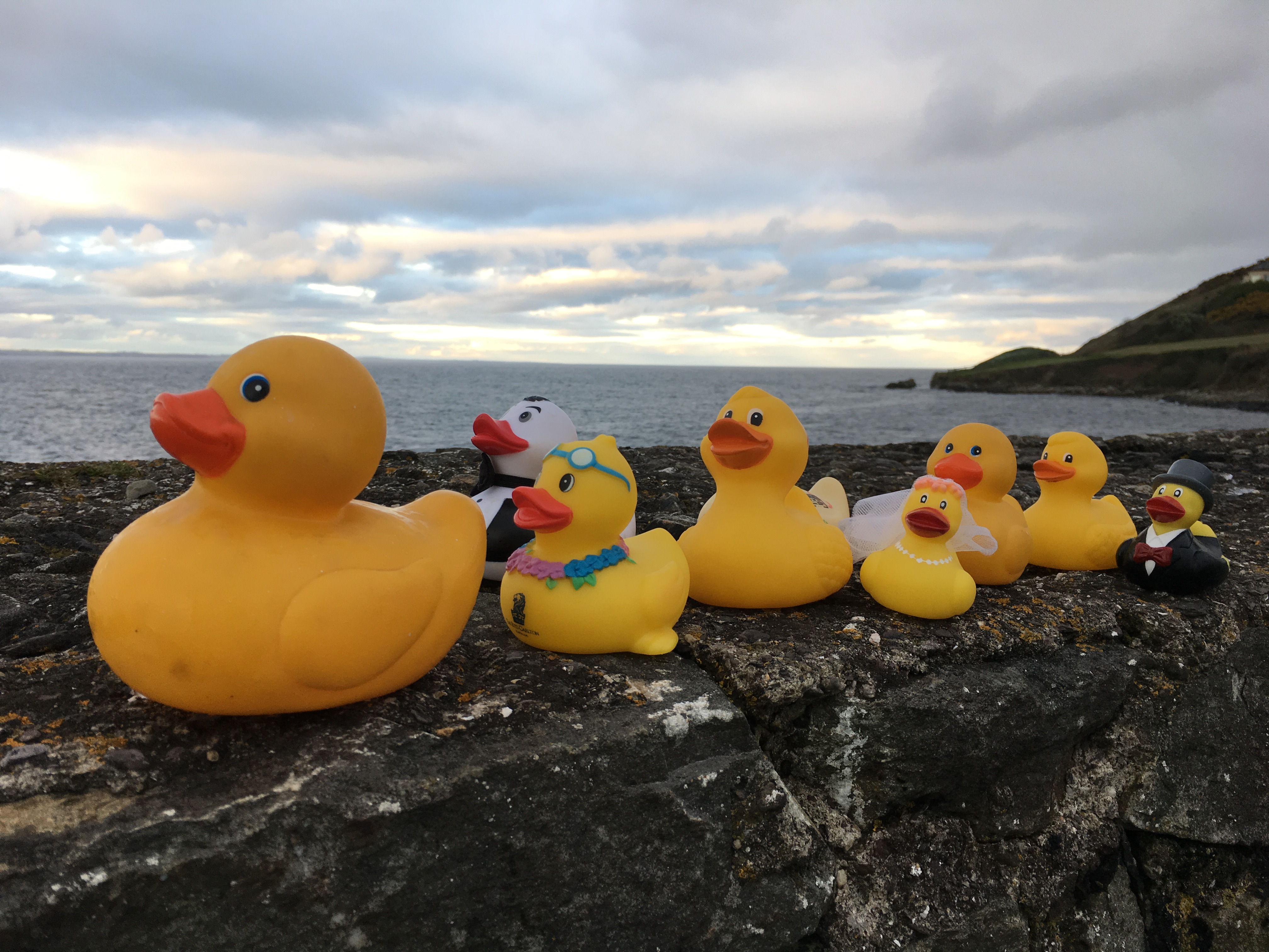 RNLI ducks heading towards Dungarvan from Helvick