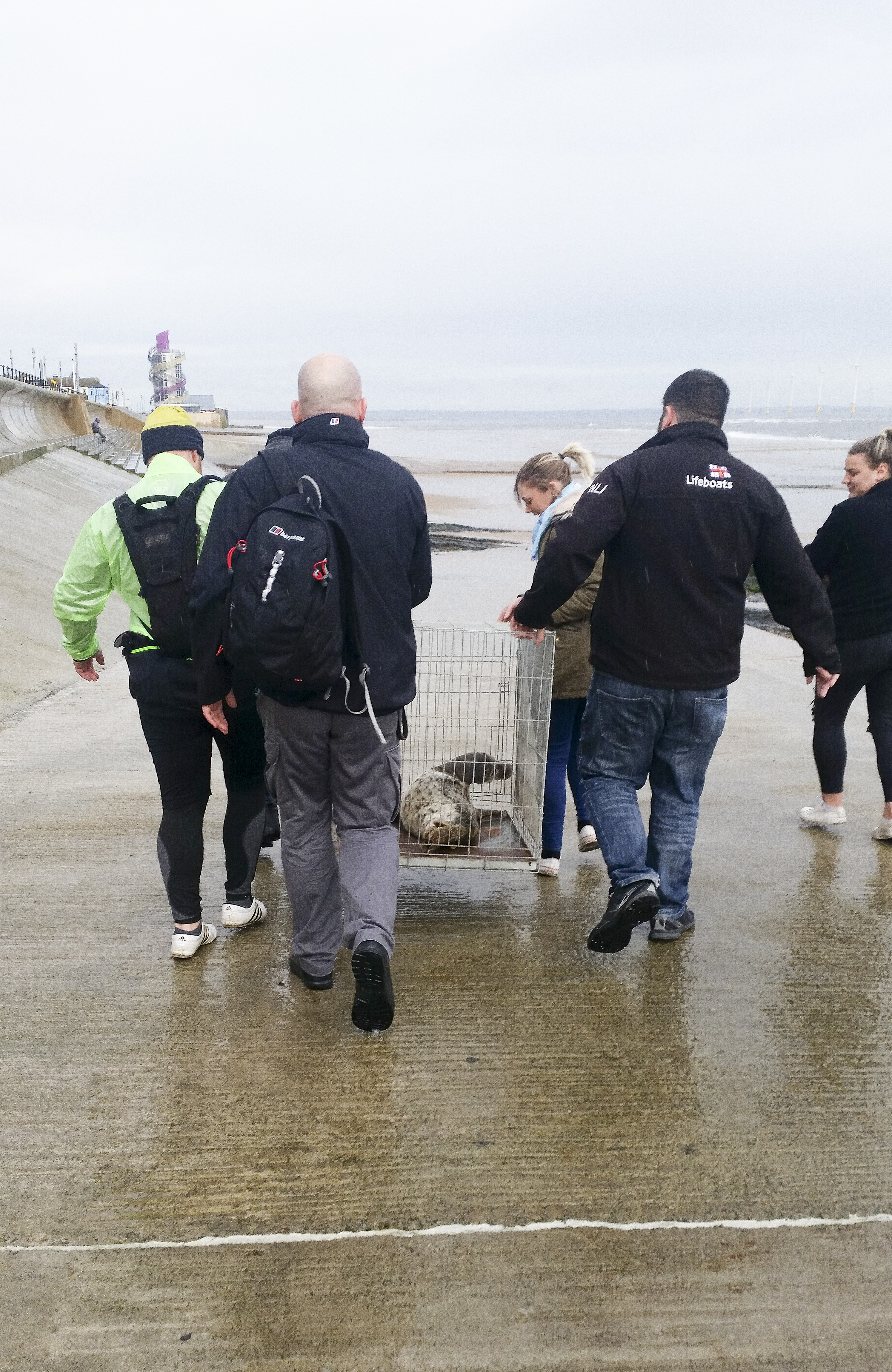 Redcar RNLI rescue seal pup stranded in apartment doorway
