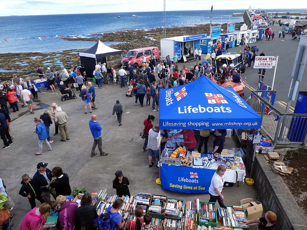 Getting busy now as the sun comes out