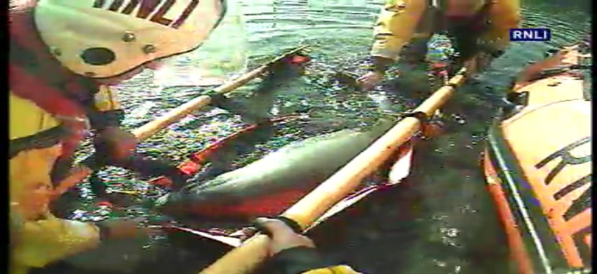 Scarborough RNLI volunteers rescue stranded porpoise