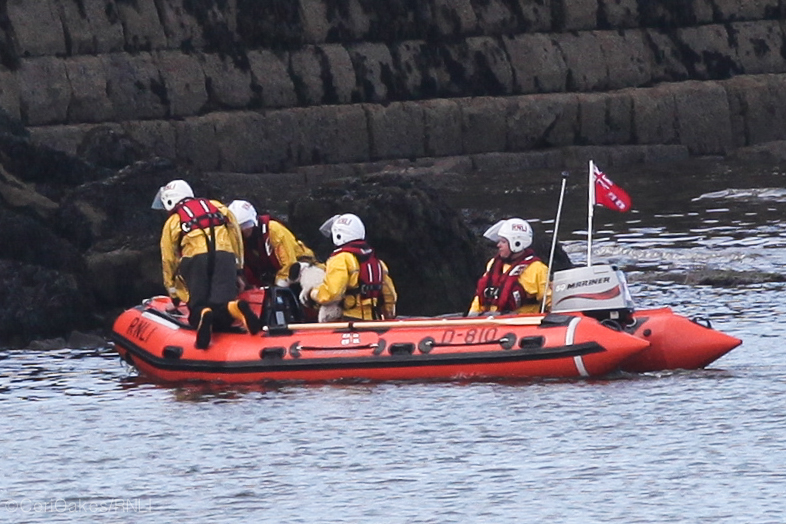 The dog is rescued and transported to safety by the inshore lifeboat