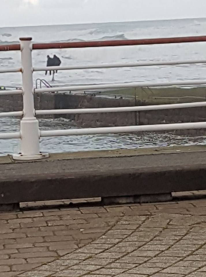 Boys on pier spark lifeboat call out for RNLI Peterhead