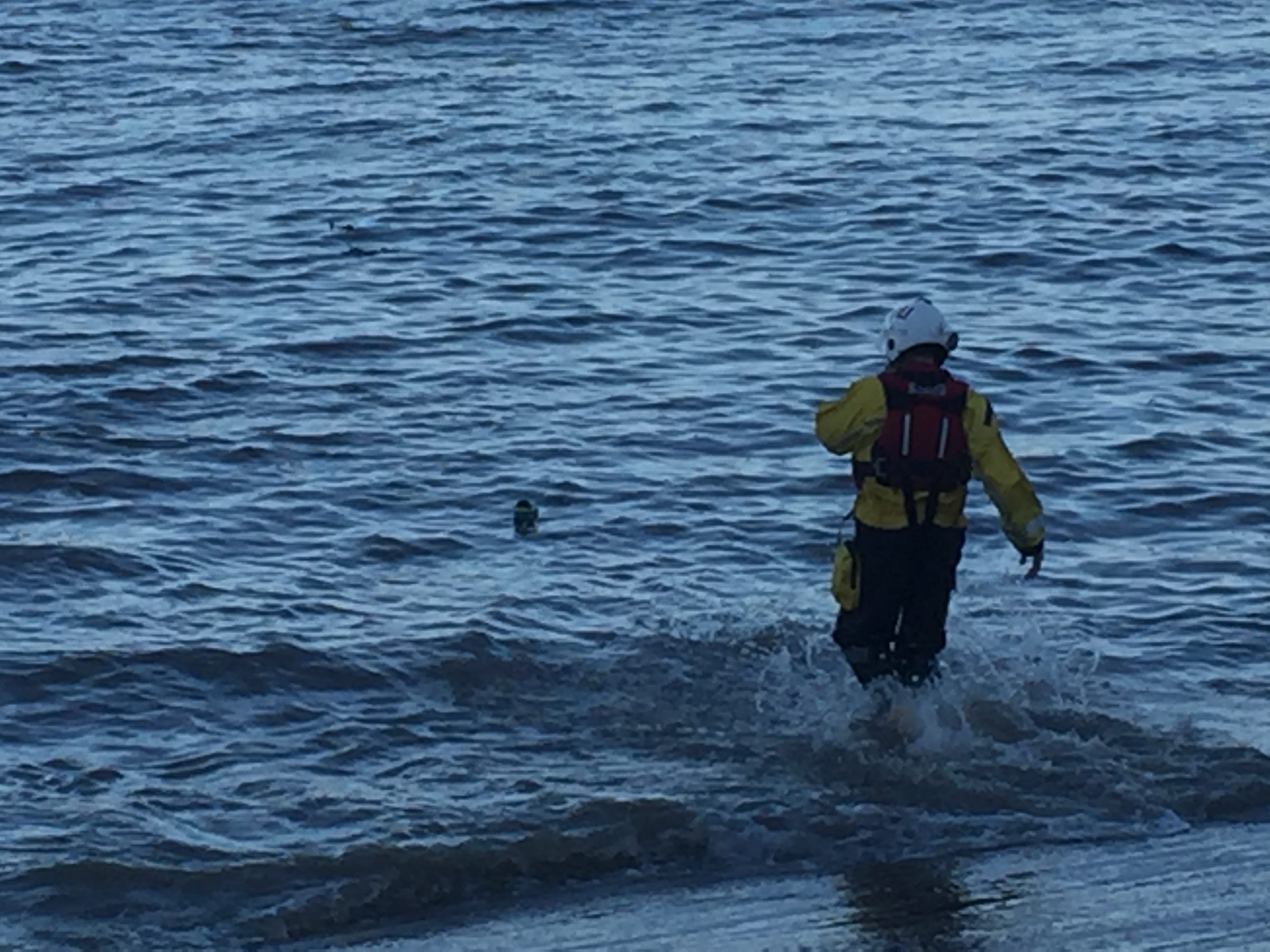 Croc shoe rescued and returned to owner