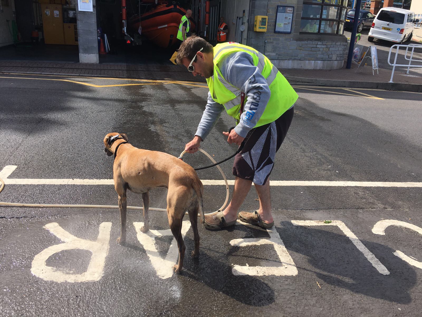Canine Crew member Rio being hosed down