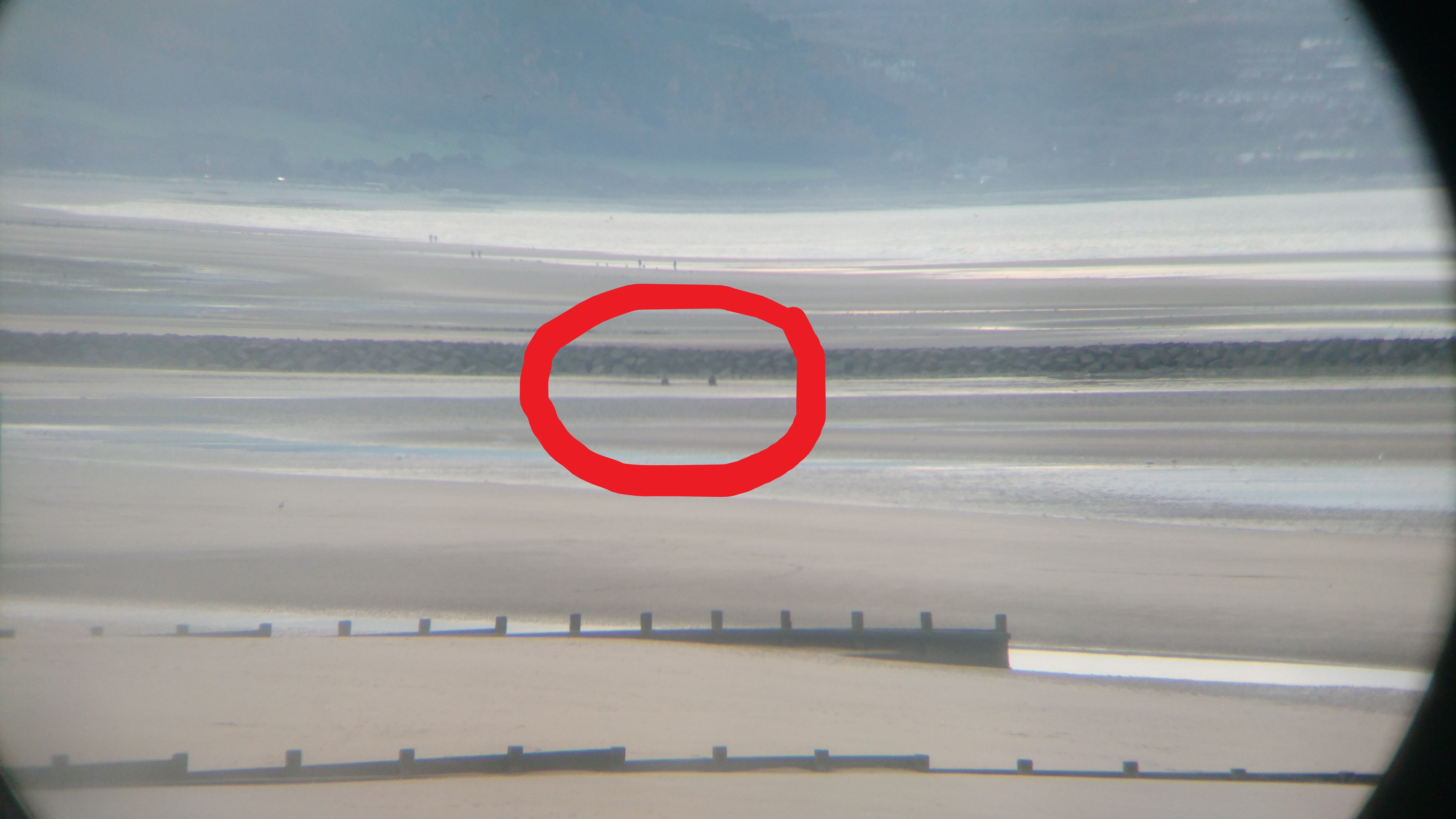 circled