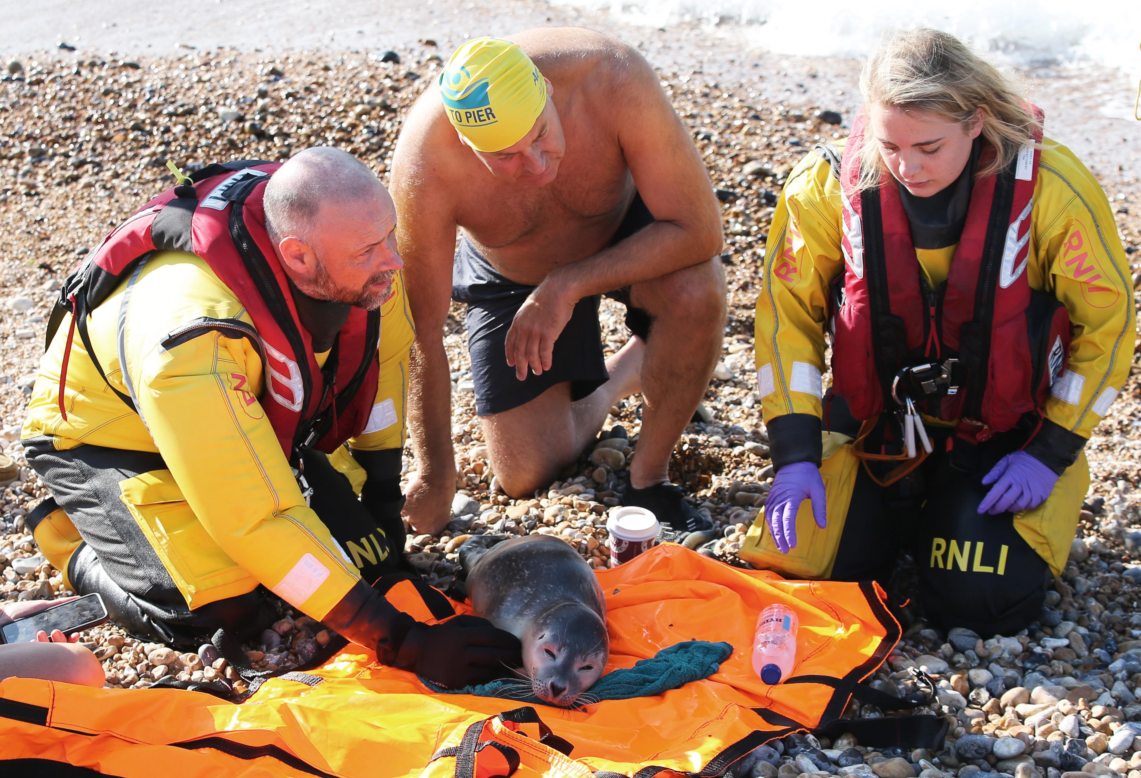Crew members with the seal