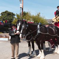 Thwaites Brewery dray and horses