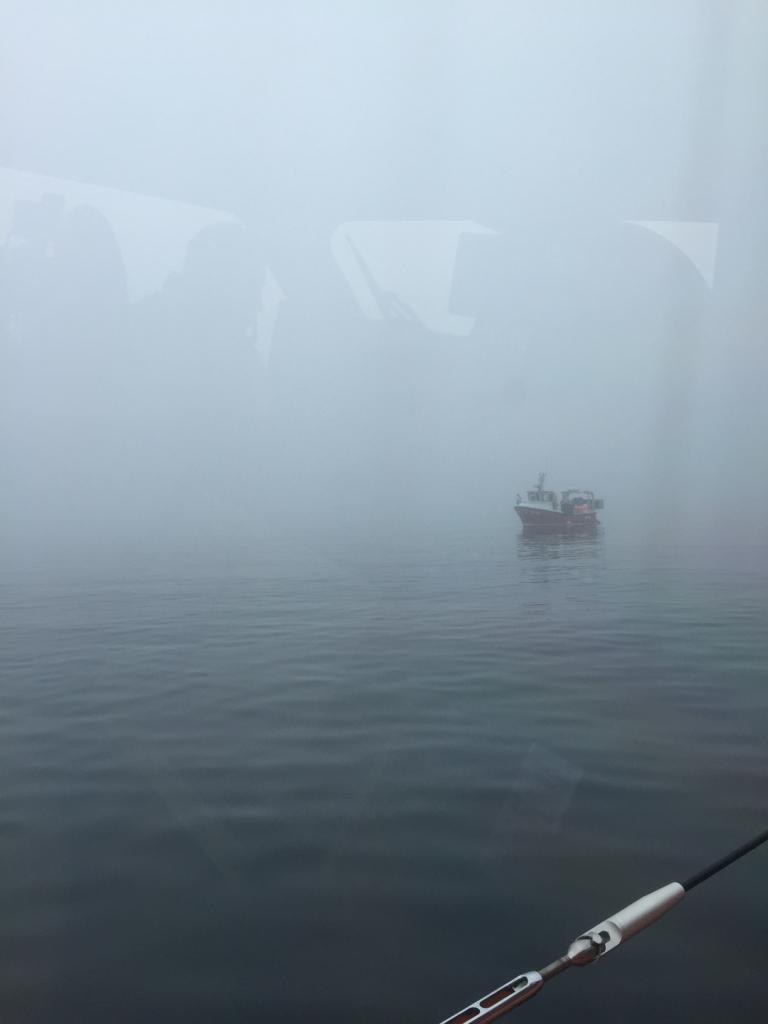Small red fishing boat through the fog