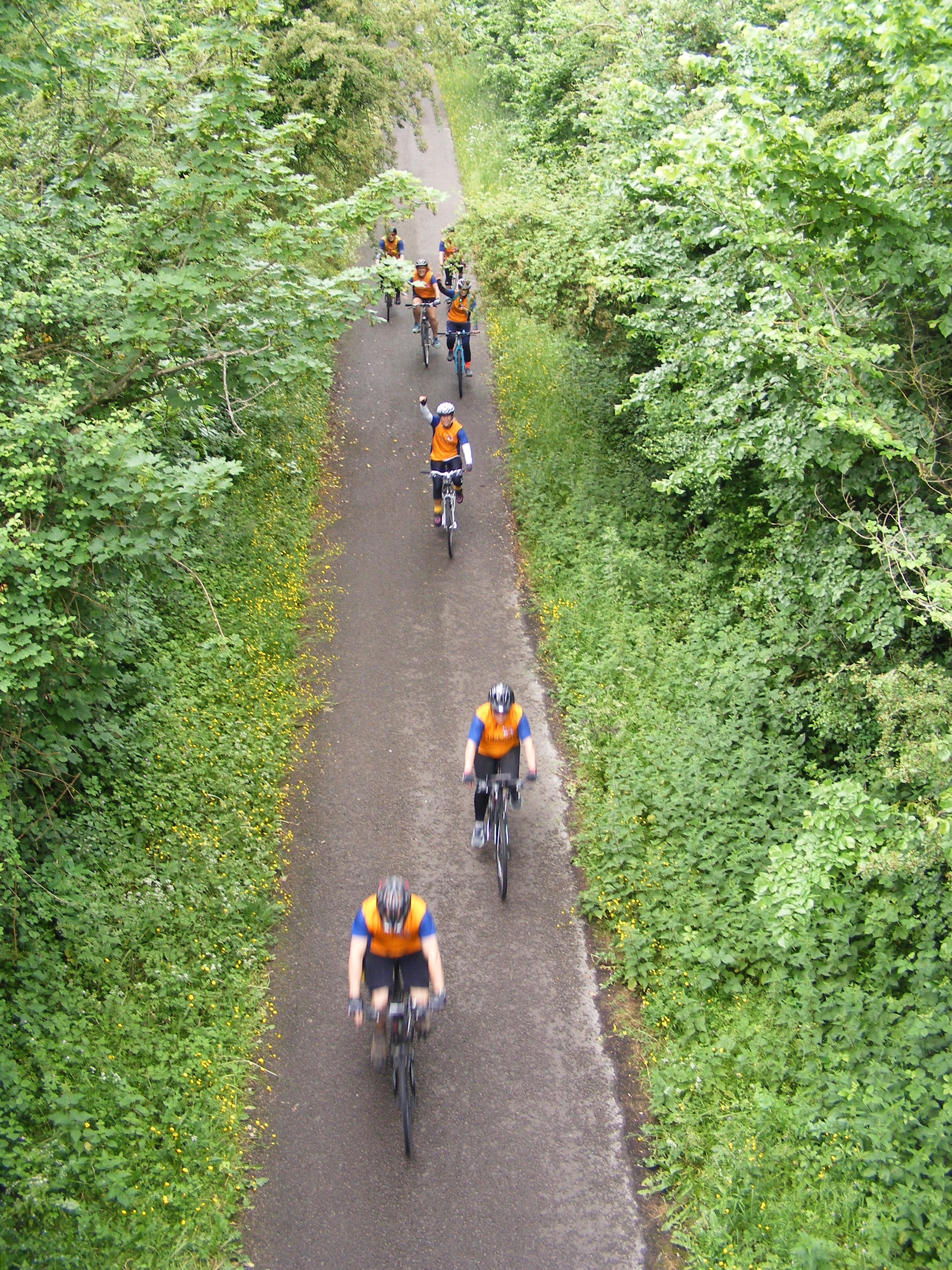 Through the trees they go!