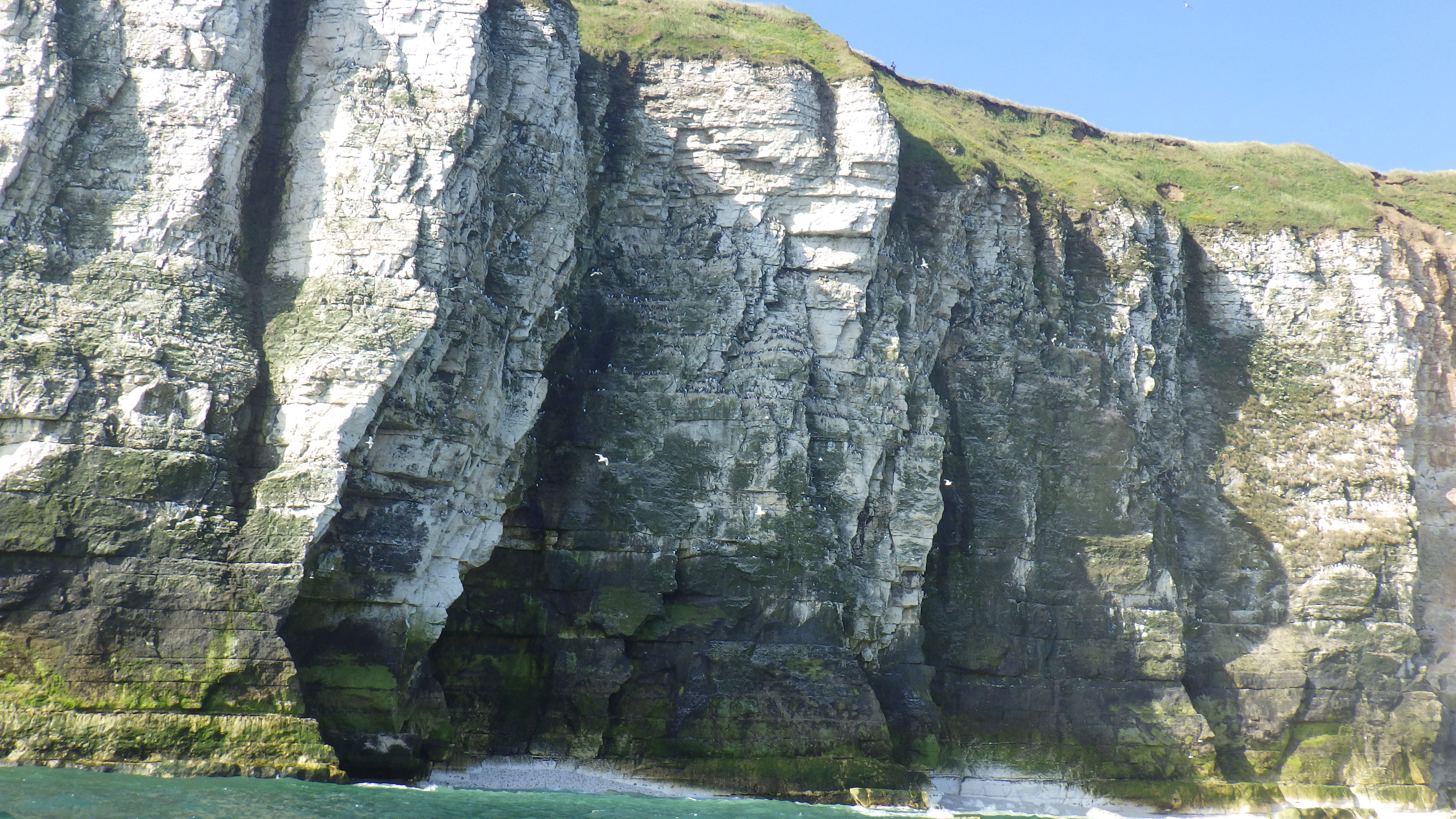 Cliffs at Sanwick near Thornwick bay where dog had fallen down.