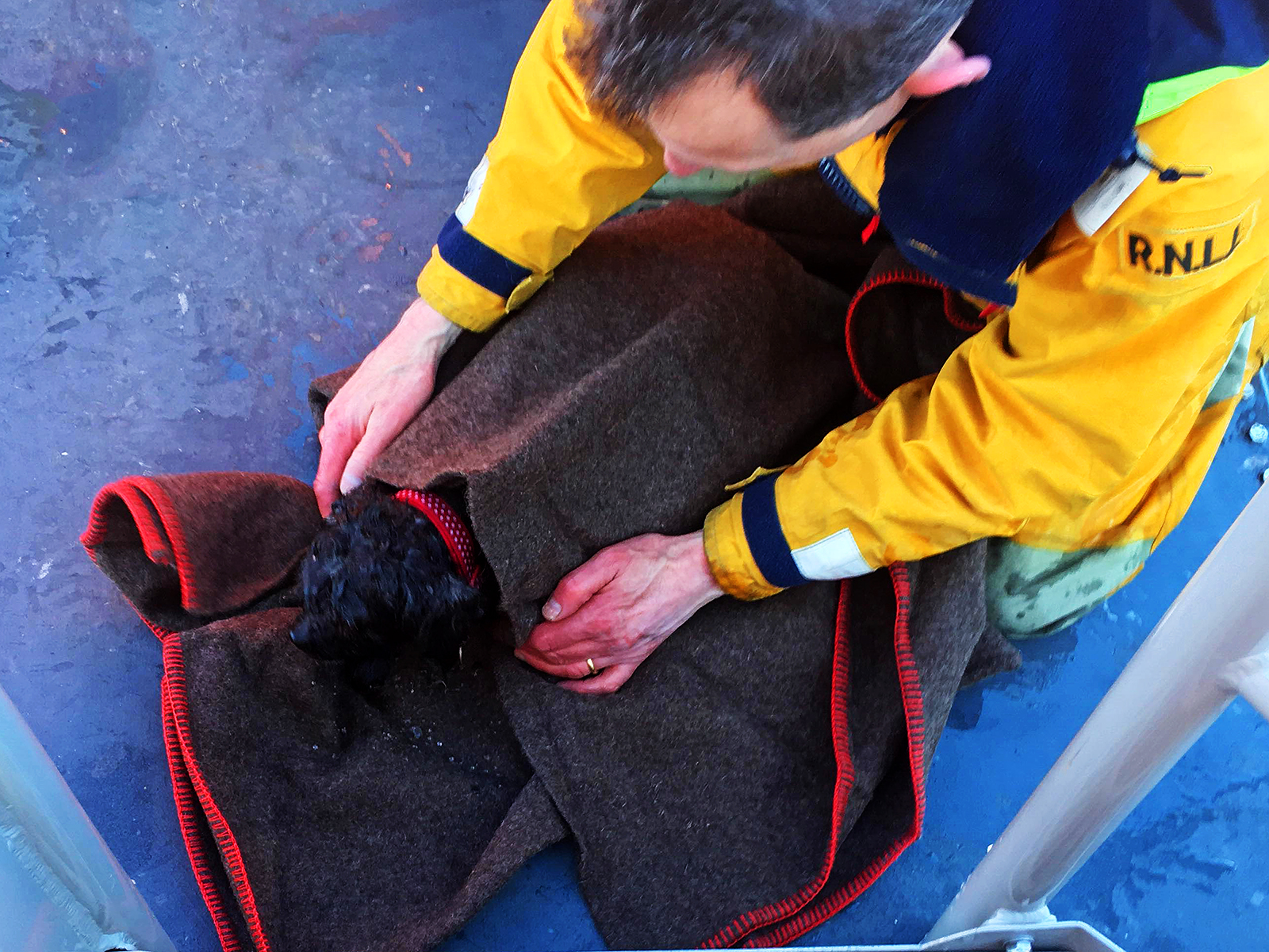 Canine casualty aboard lifeboat