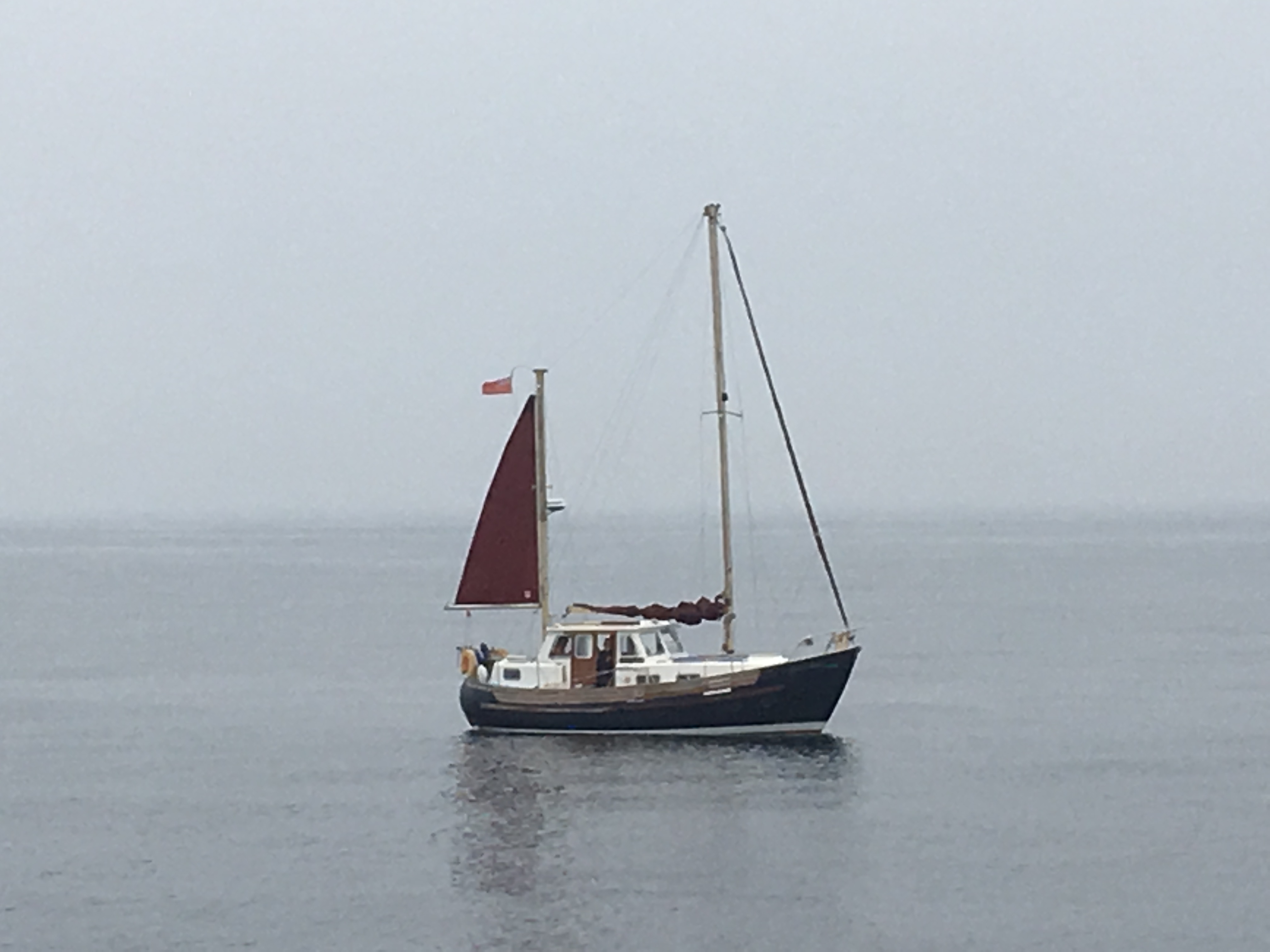 Casualty Yacht