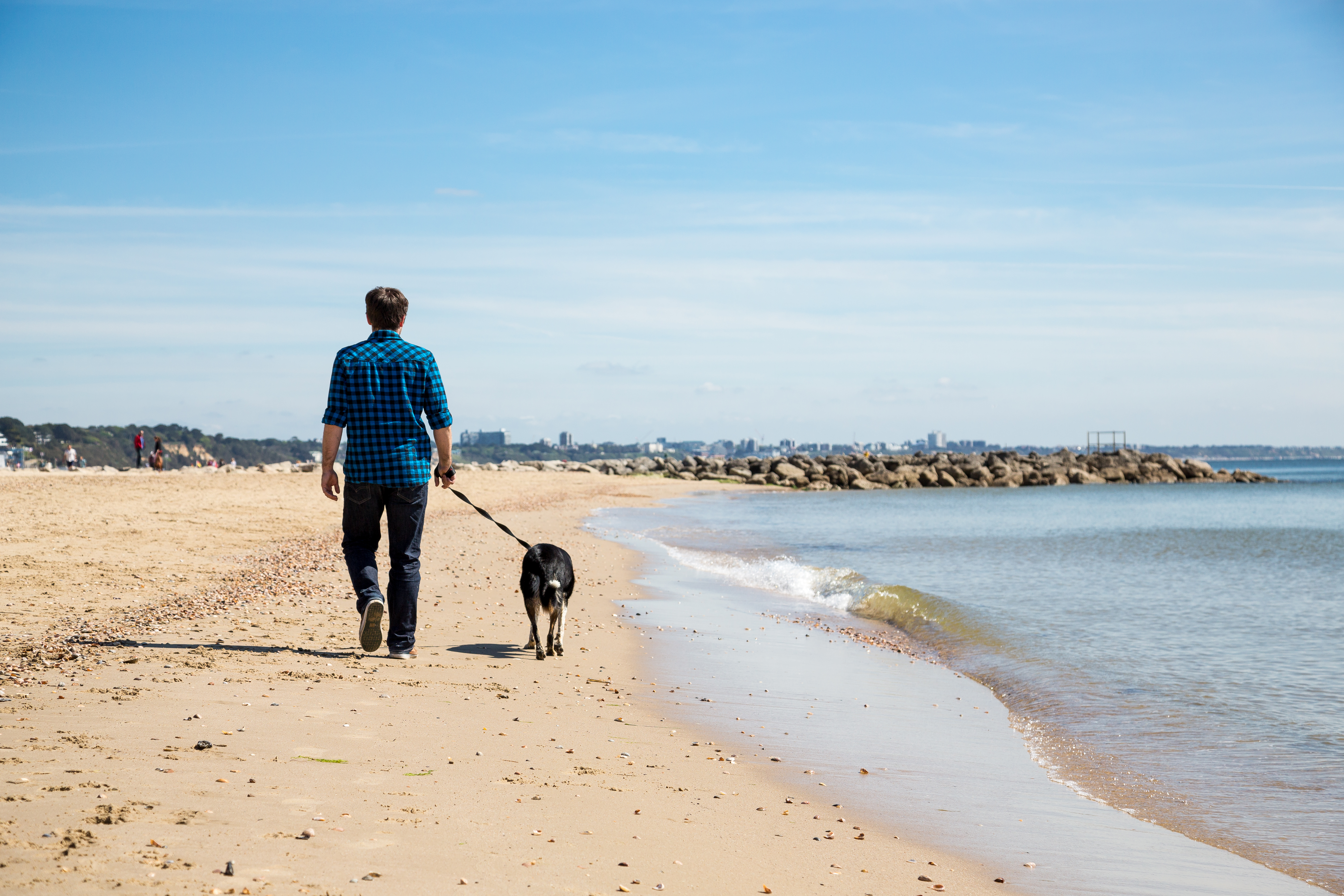 Dog walking at the beach
