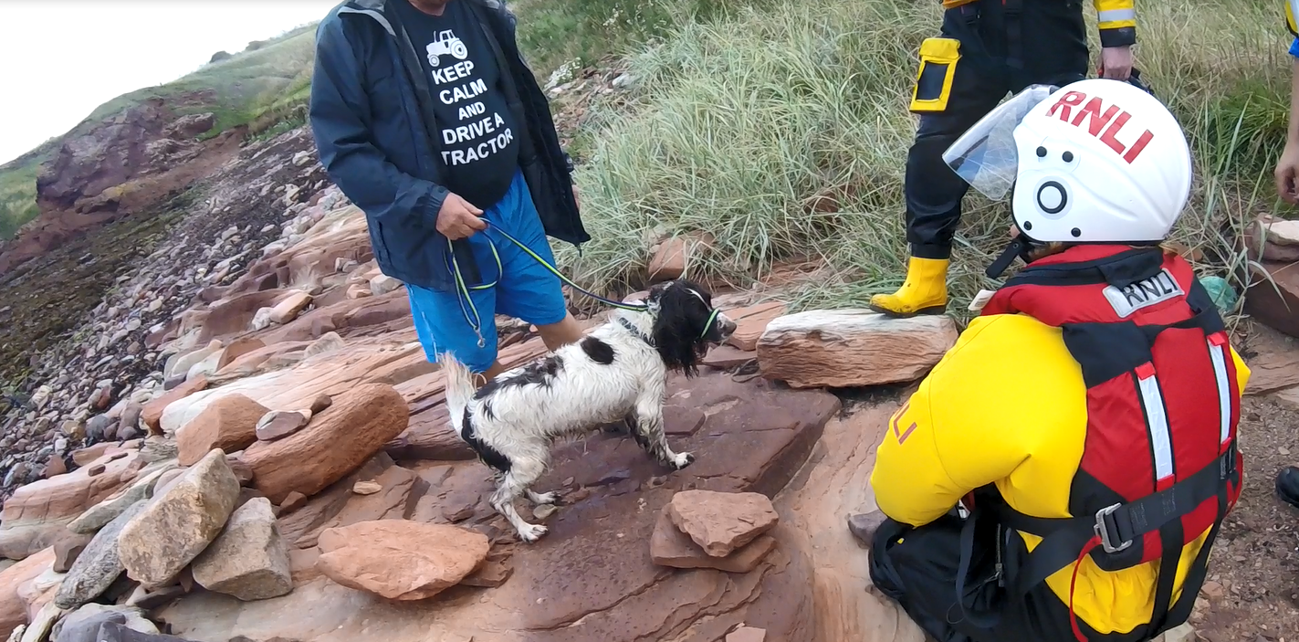 Rescue dog Maisie is reunited with her relieved owner.