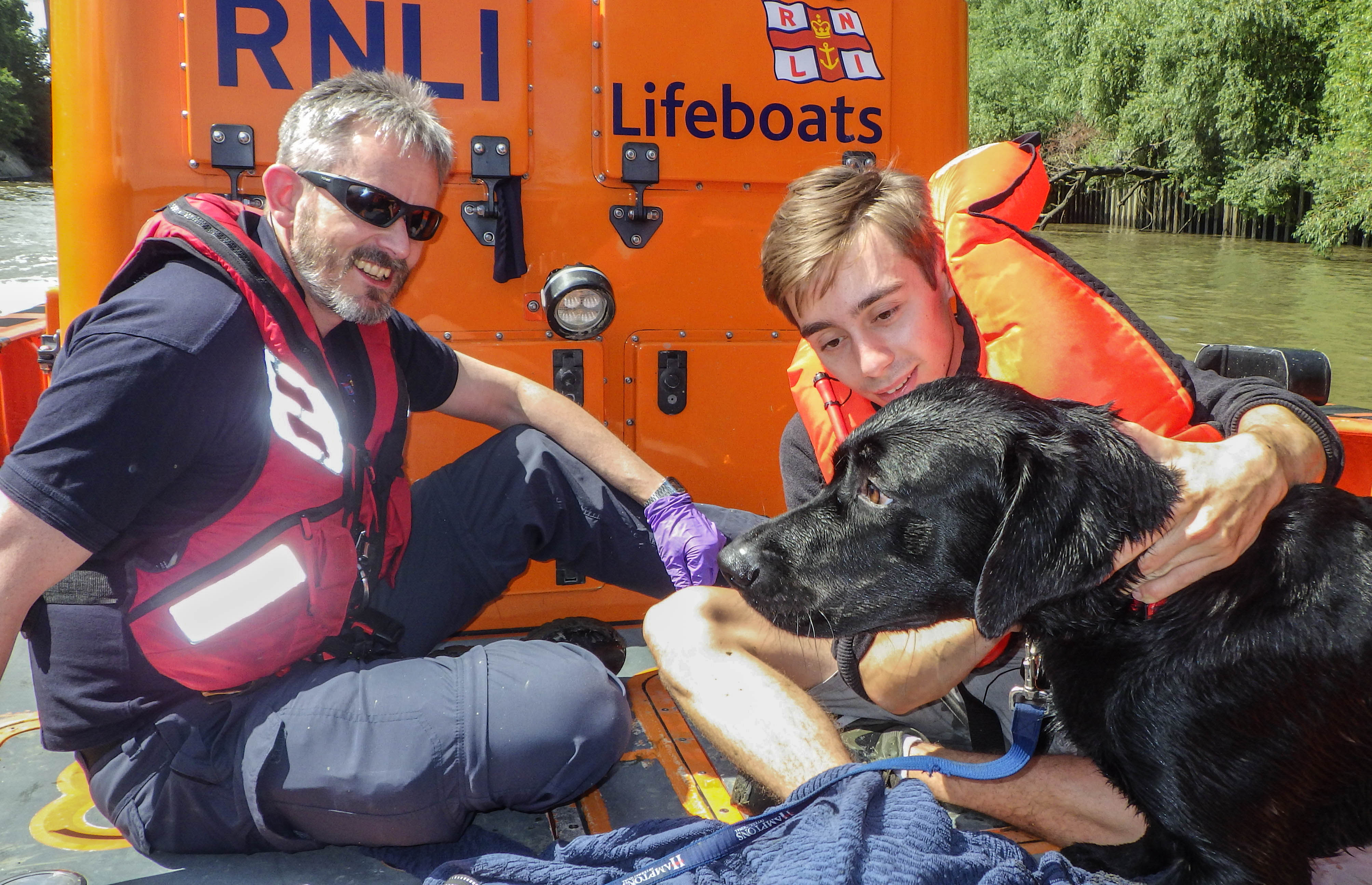 Harry reunited with his owner on boat the lifeboat