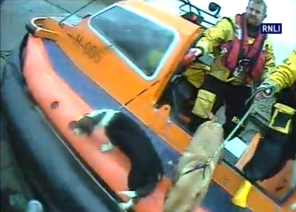 Hoylake RNLI hovercraft crew rescue a dog walker and his two dogs