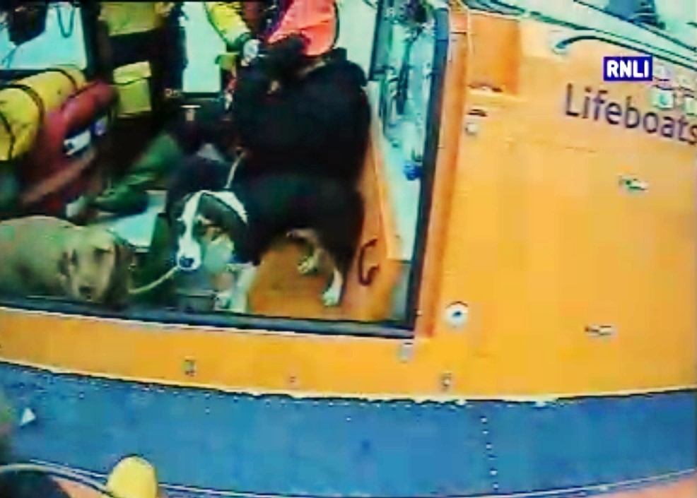 Hoylake RNLI hovercraft crew rescue a dog walker and his two dogs
