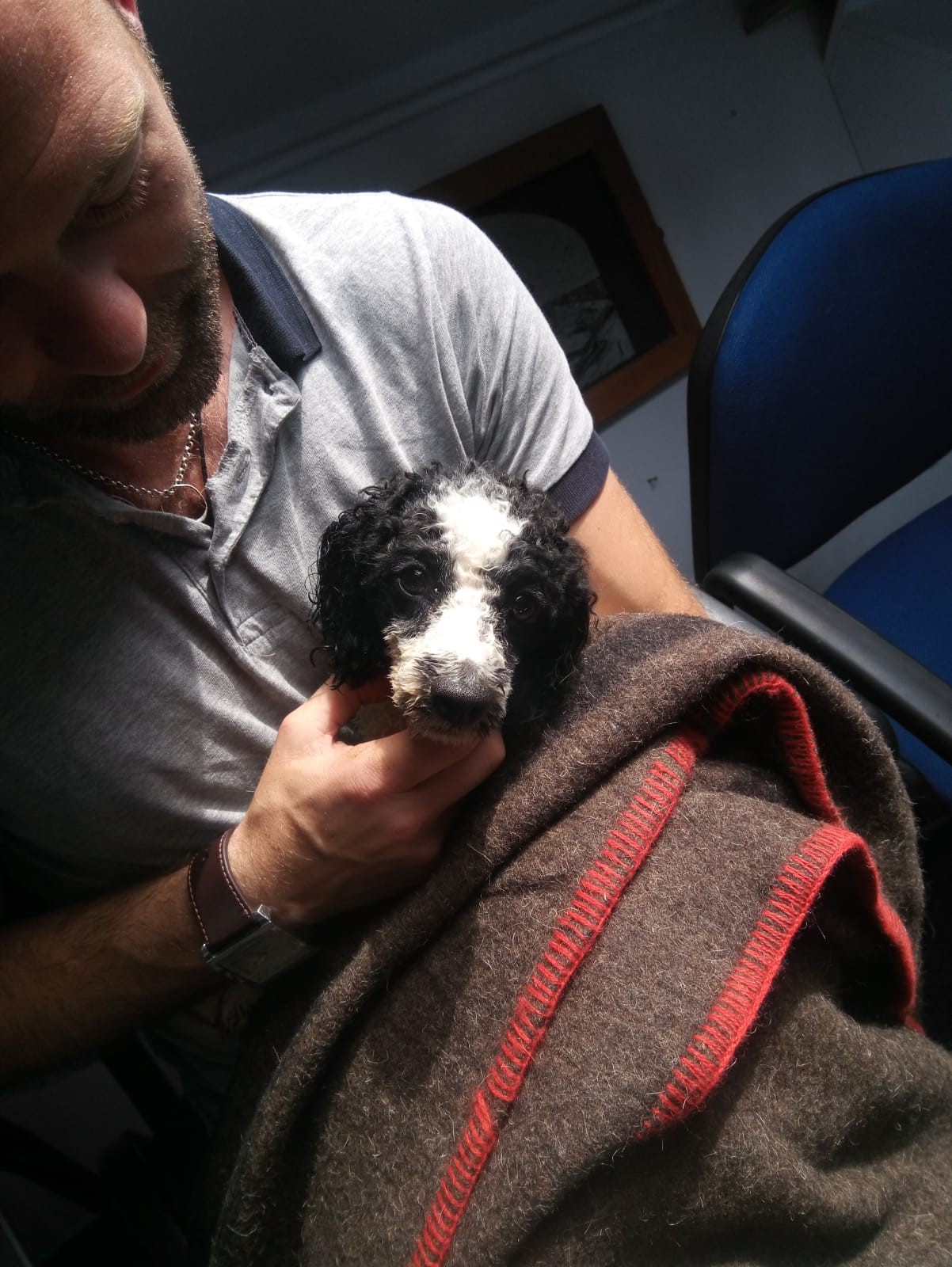 Tyson receiving cuddles from a crew member 