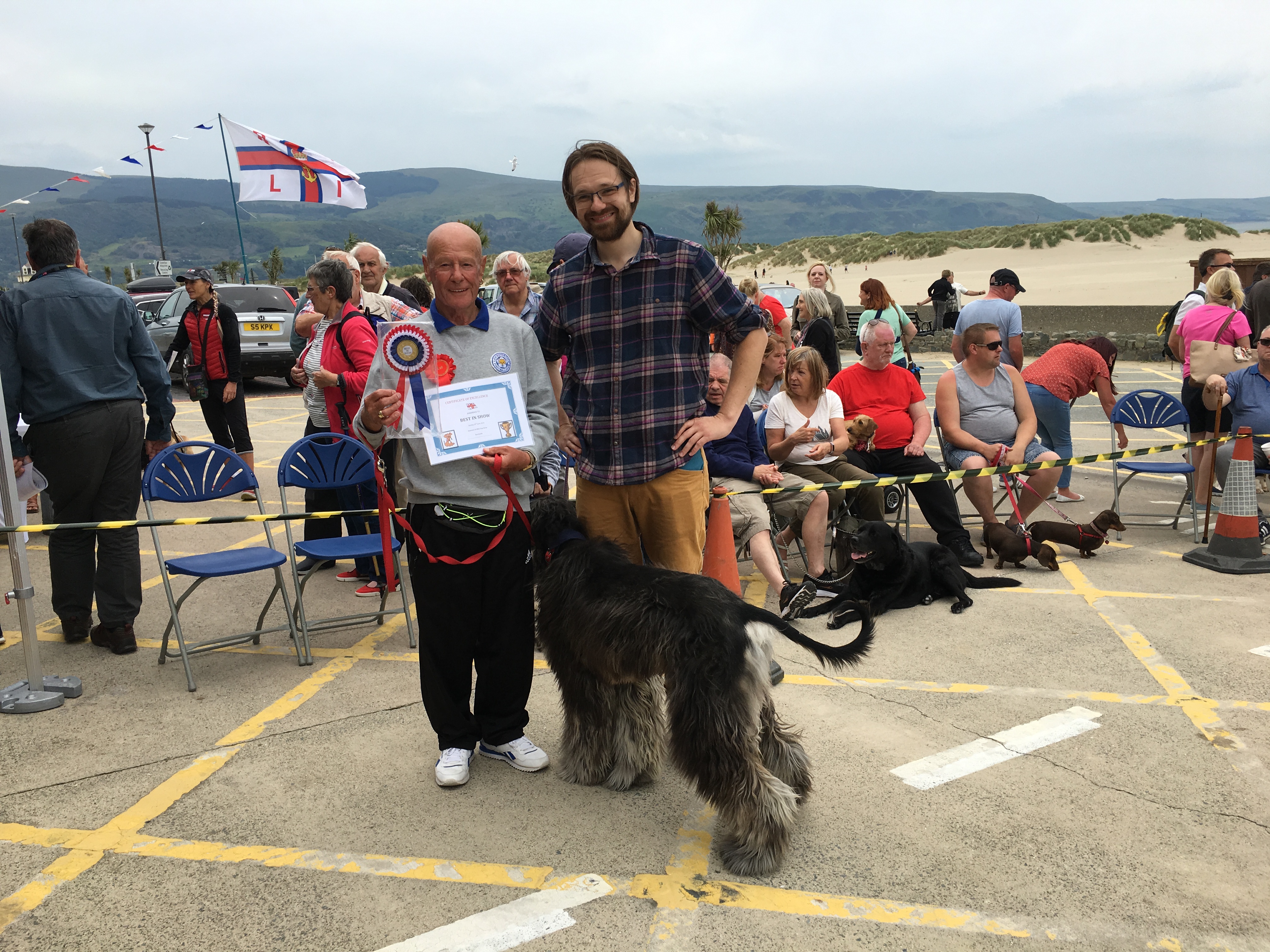 Best in show