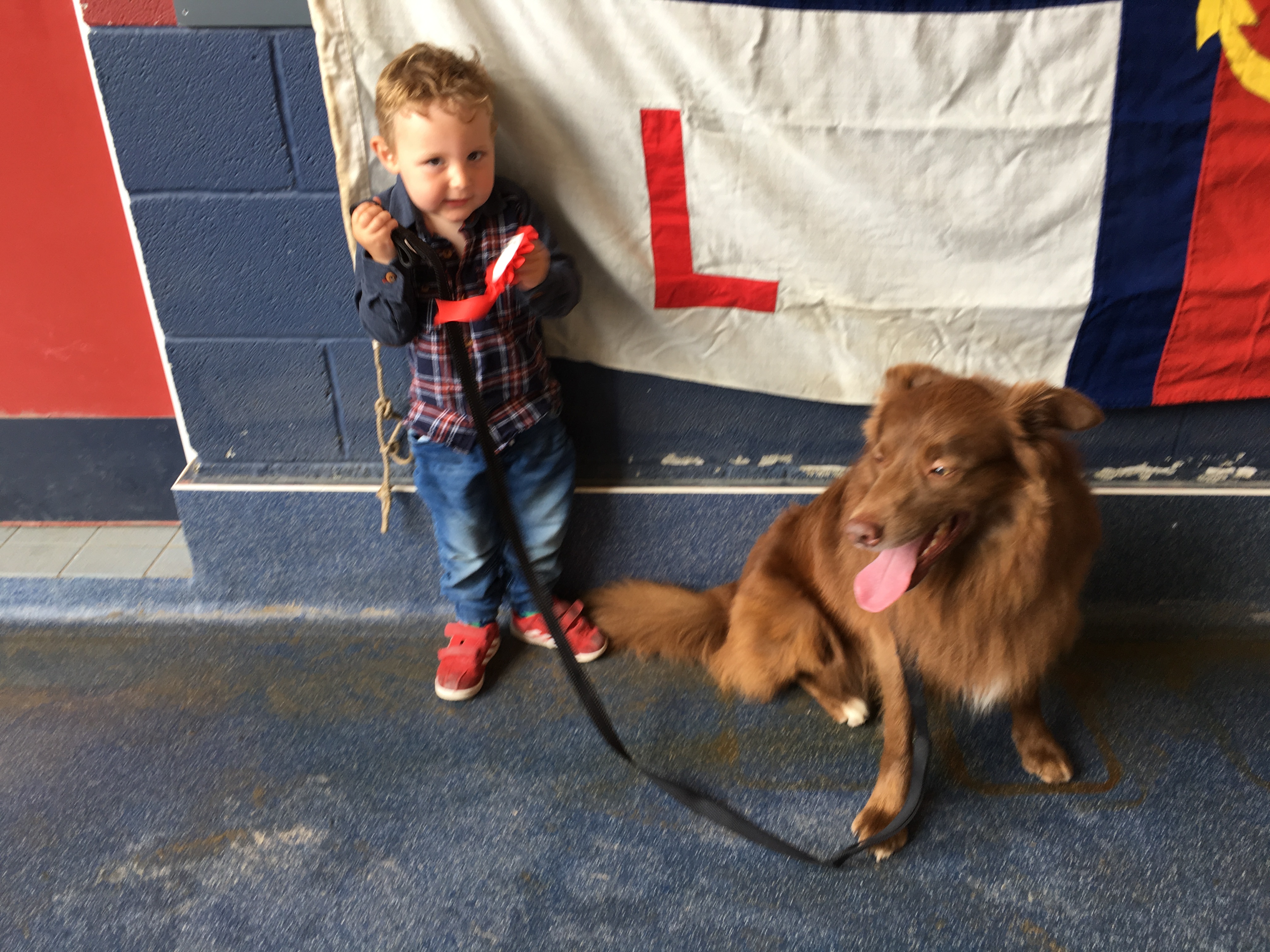 Best child with dog, Finlay from Barmouth with Cody