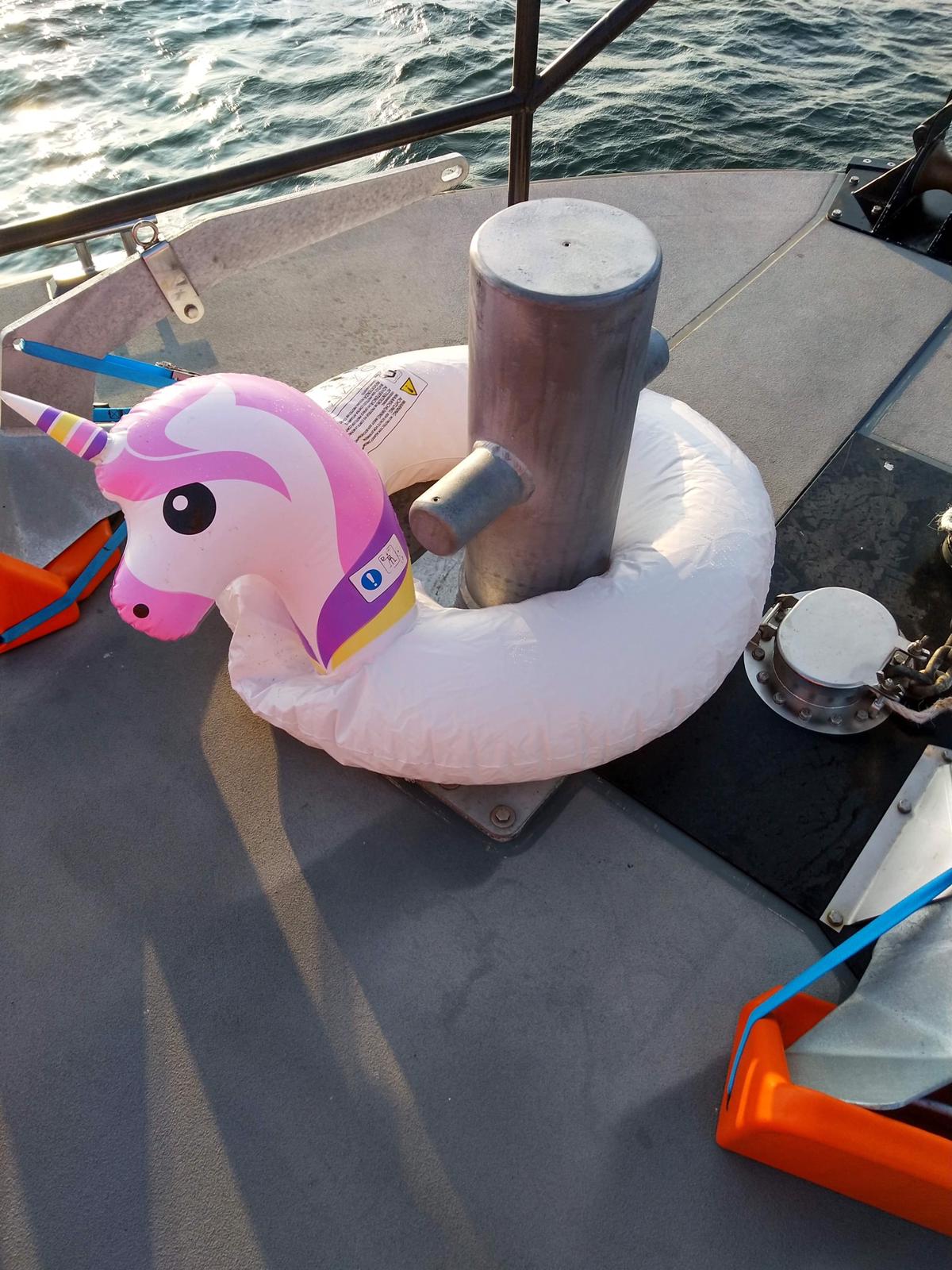 Inflatable unicorn recovered to the lifeboat