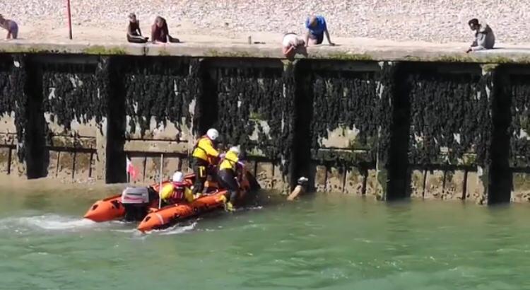 Robbie the whippet is rescued from the River Arun