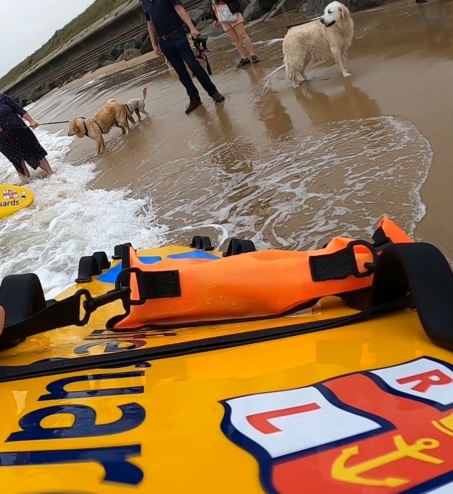 An RNLI lifeguard reaches shore with a yellow rescue board as Rosa the Golden Retriever stands on the beach with her owner and two other dogs.