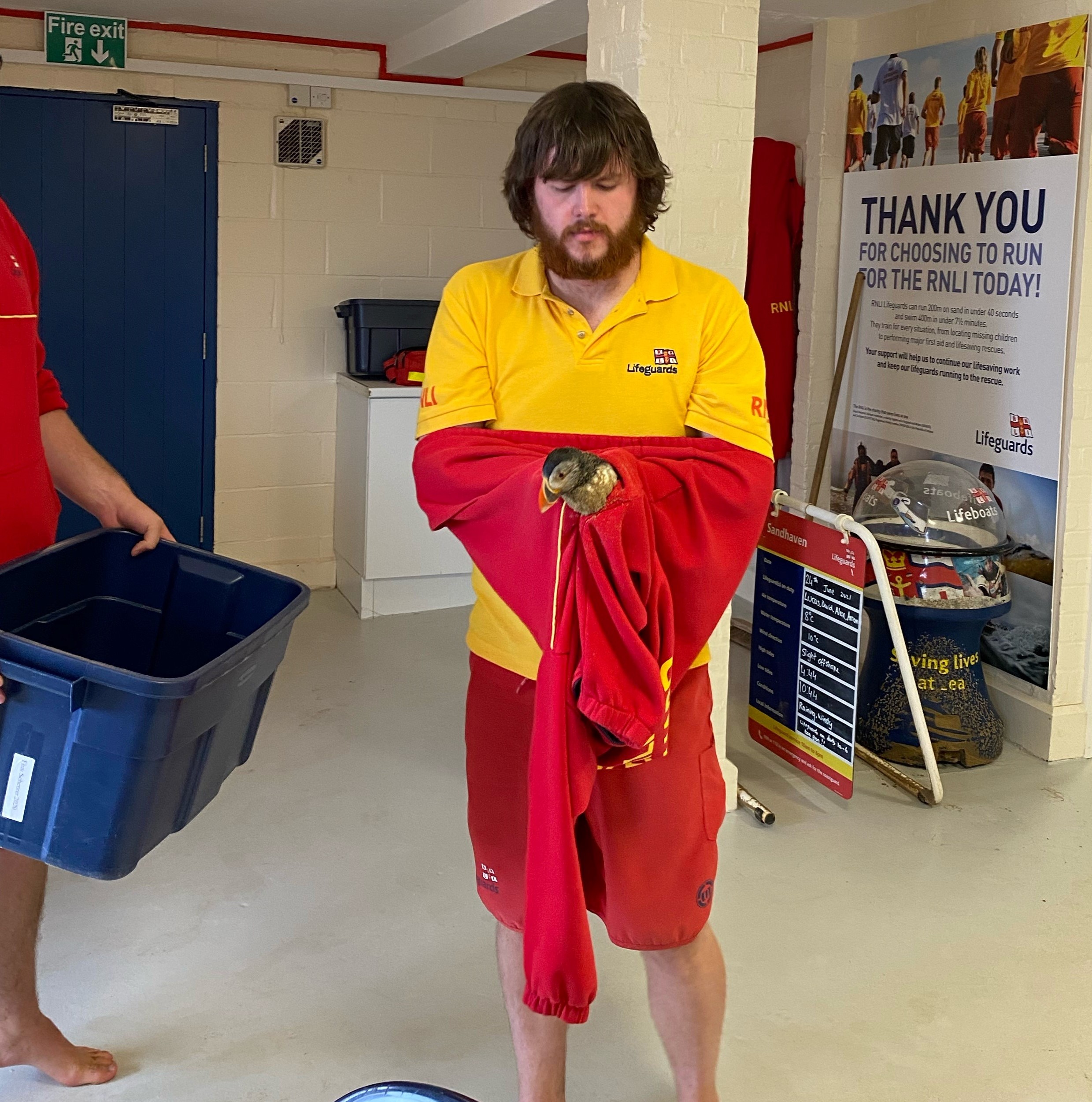 A RNLI lifeguard in a yellow top and red shorts is holding a small puffin in a red jumper. Besides him, a man is holding a container.