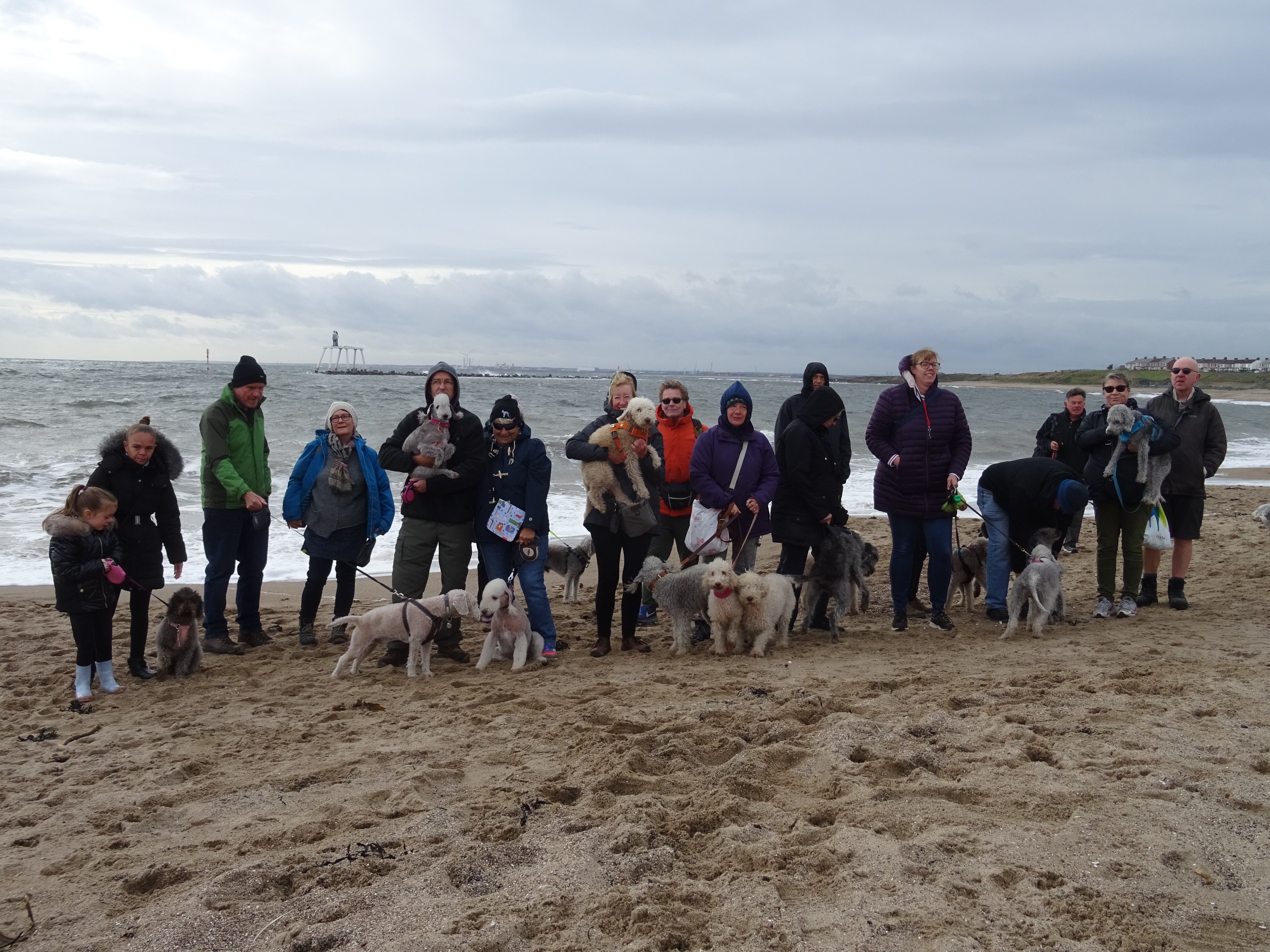 The group gathered on the beach