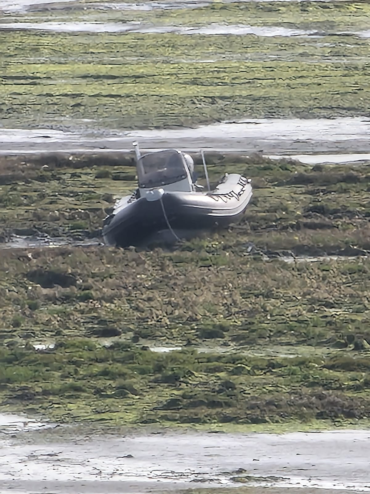 Picture of the RIB