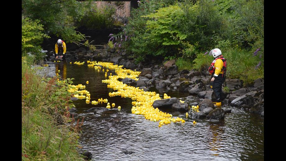 Quacking Intensifies Quacking Event at Largs RNLI | RNLI