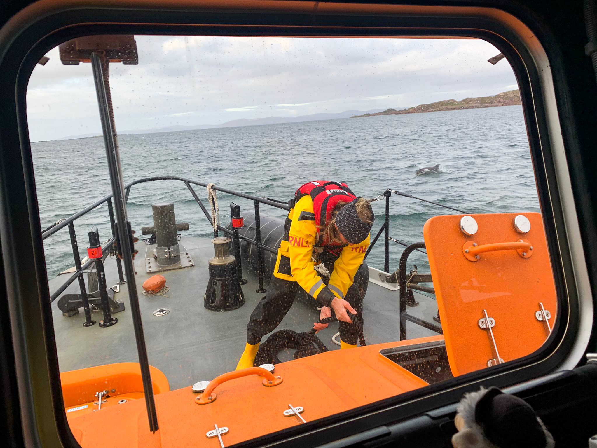 A crew member can be seen working on the boat with a dolphin swimming in the sea in the background.