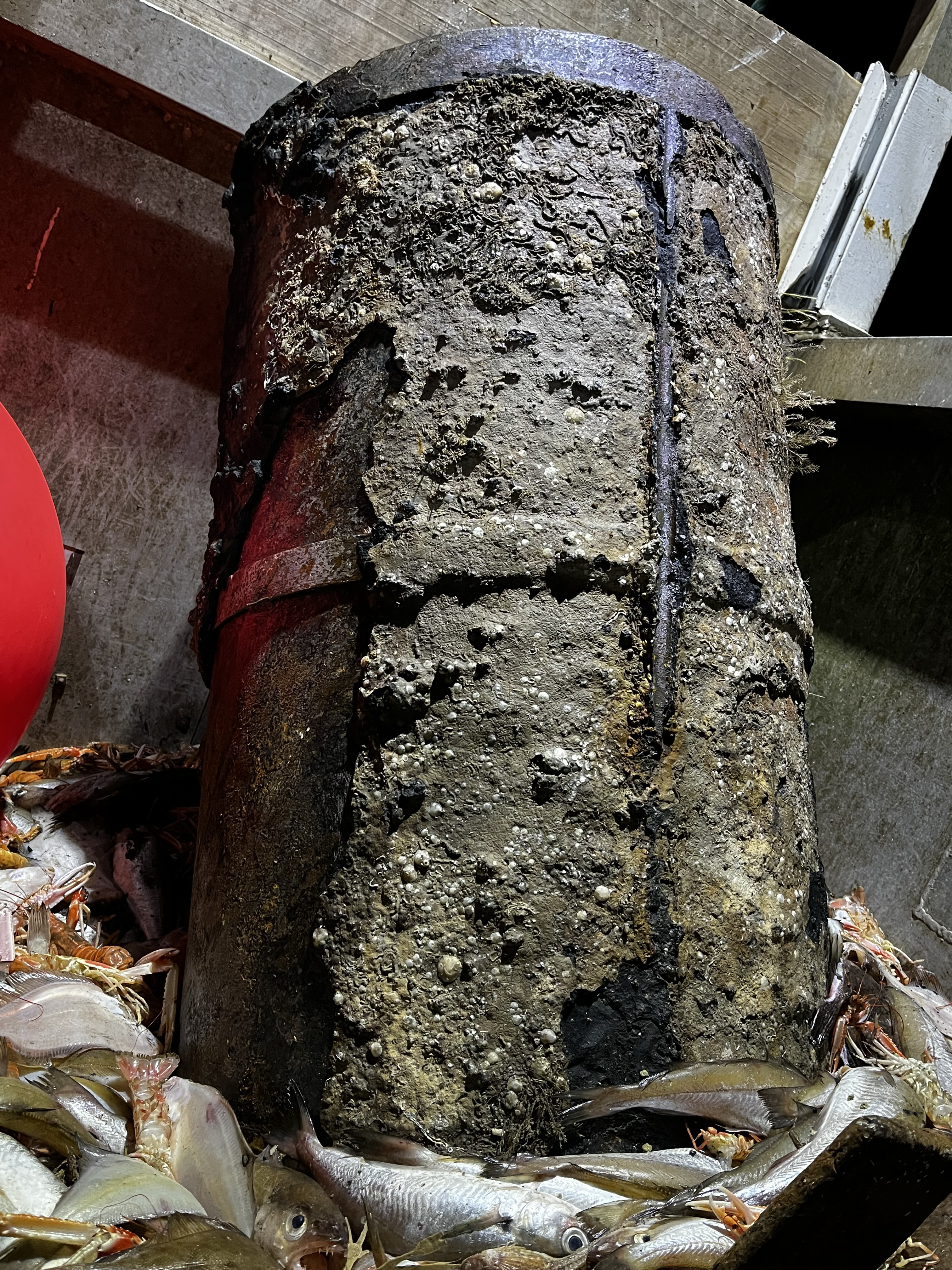 The metre long explosive charge