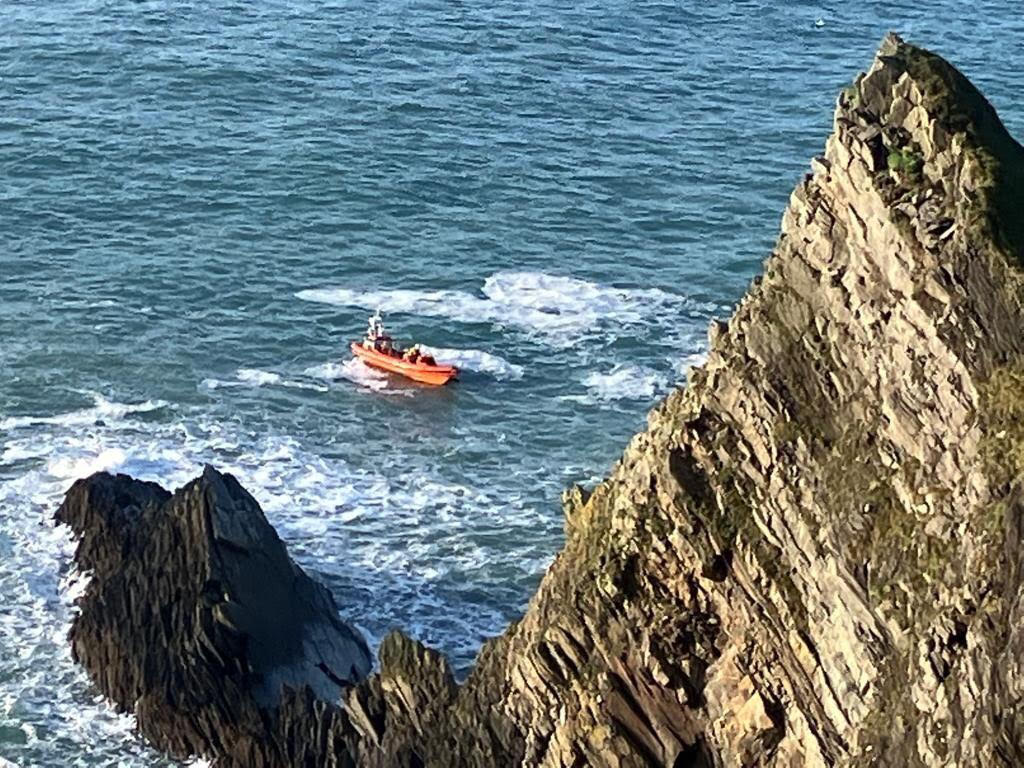 Kinsale RNLI involved in rescue of two dogs stranded at bottom of cliff ...