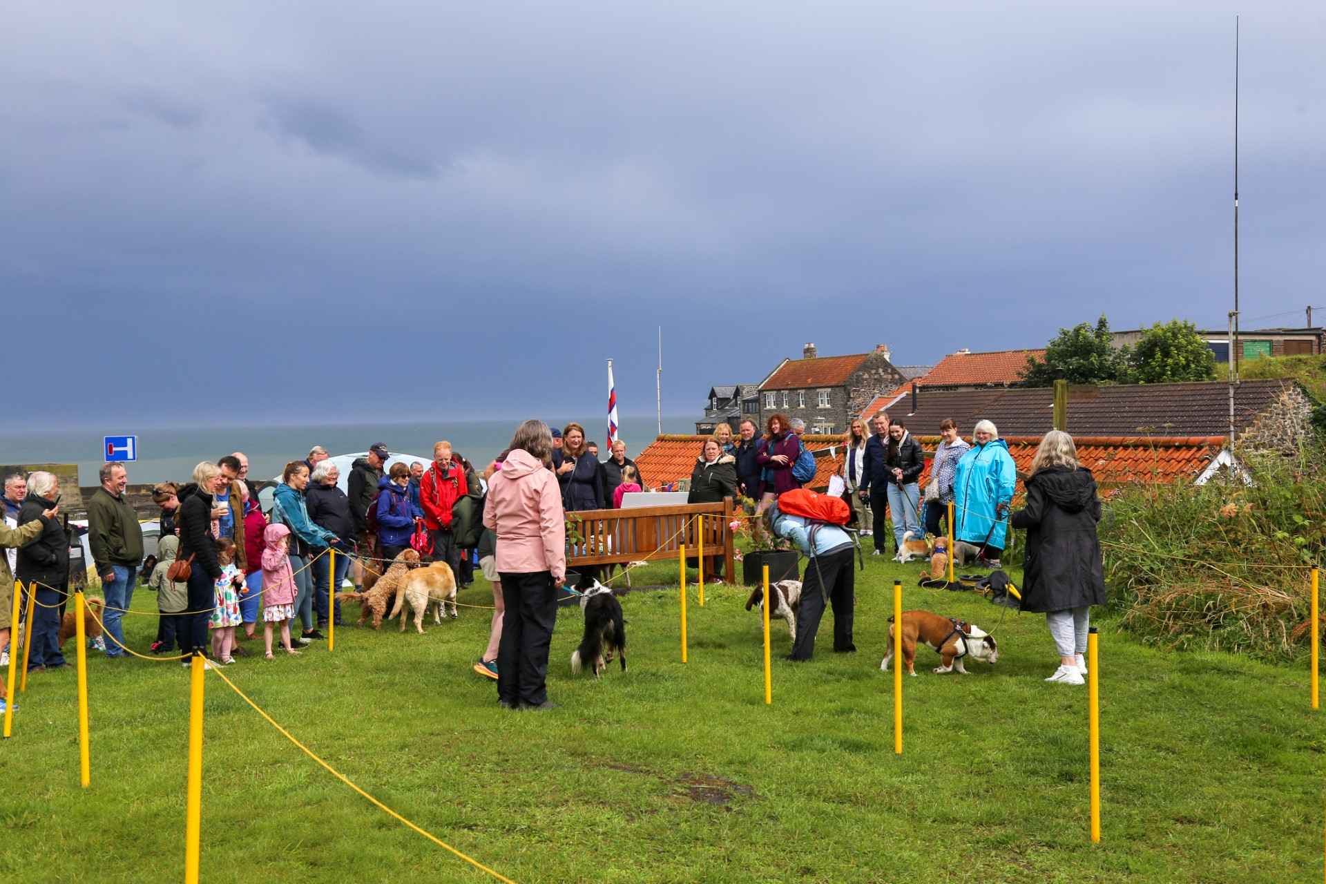 a few of the entries getting ready for judging at the dog show