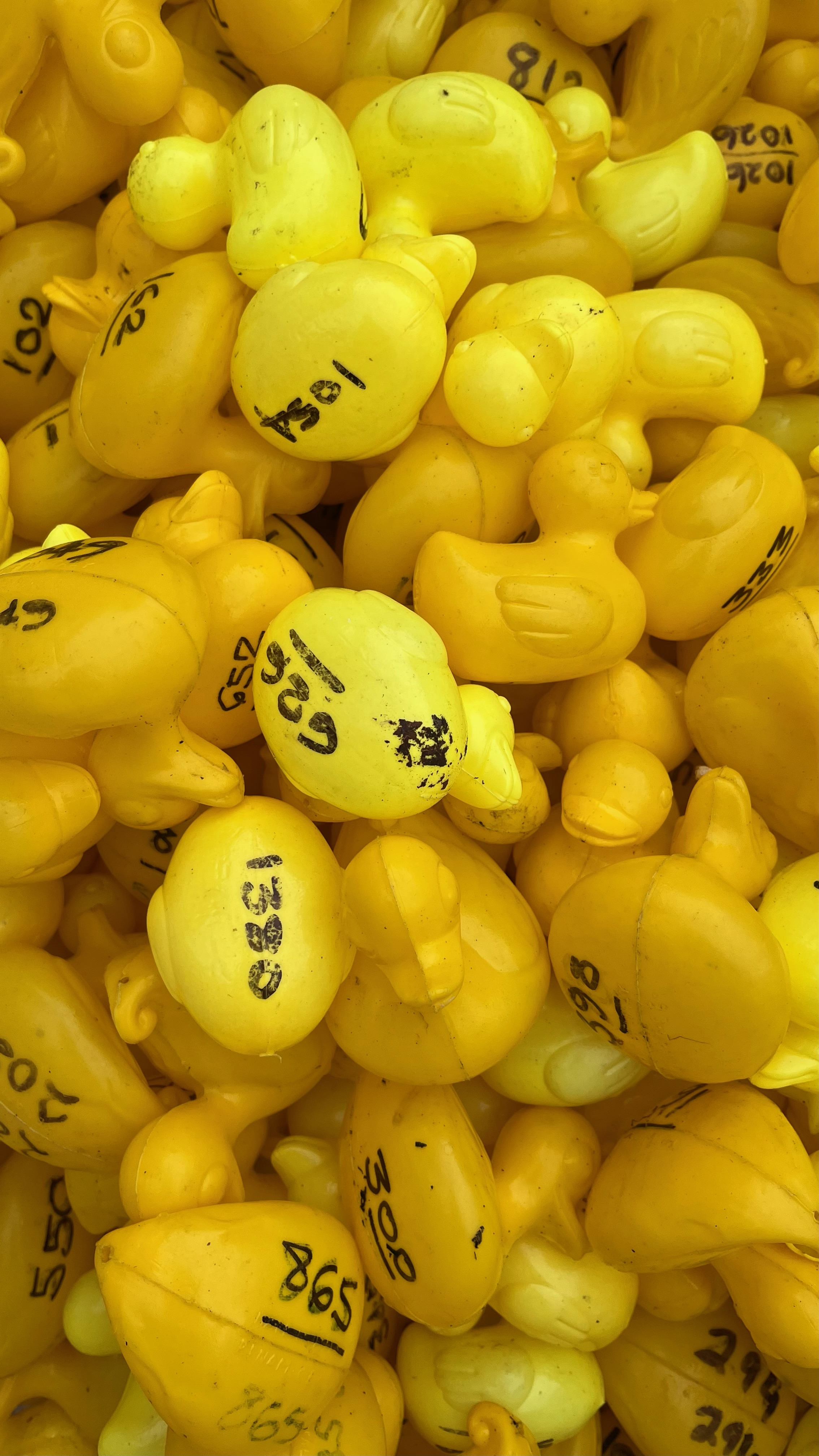 rubber ducks