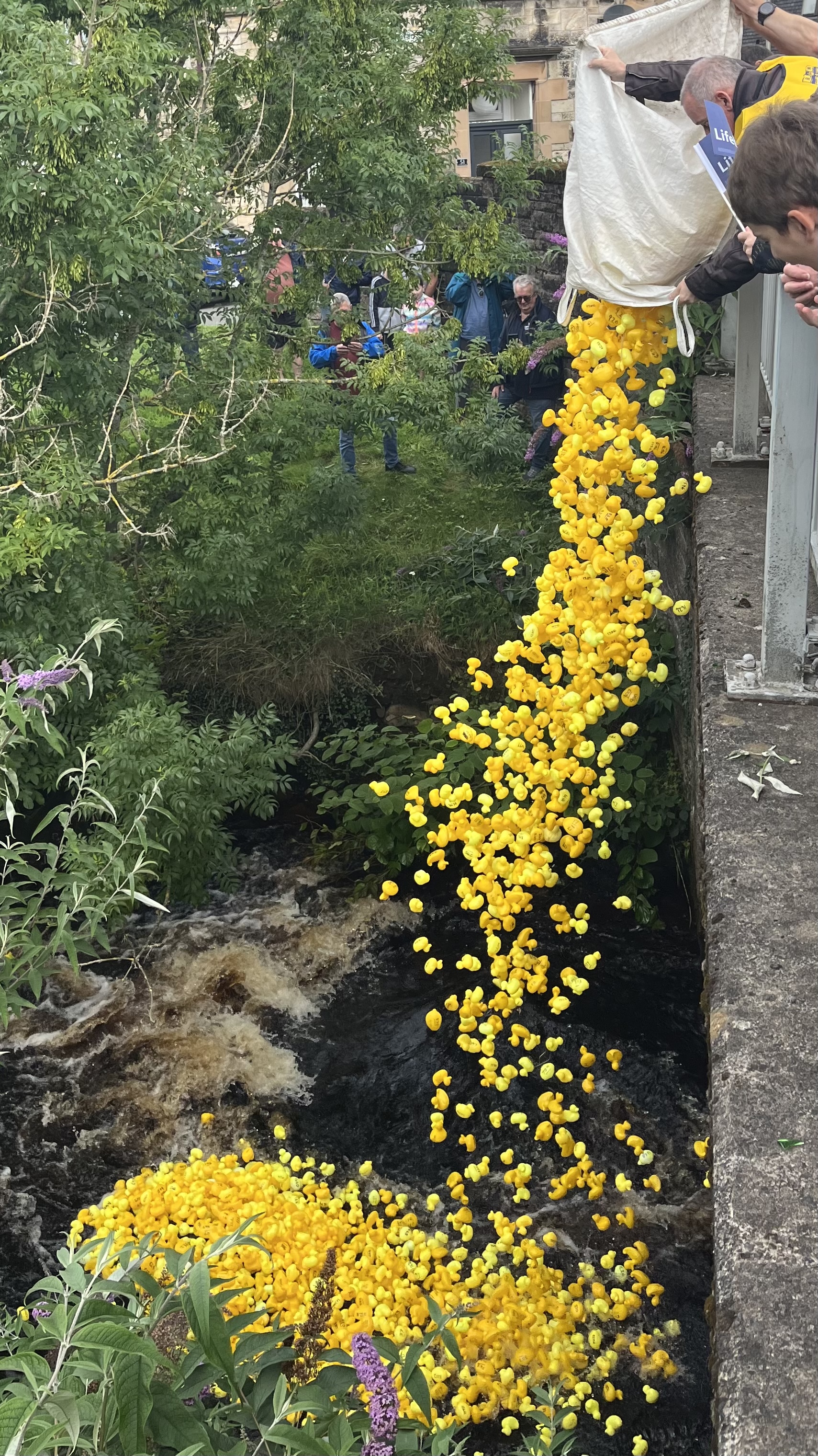 Rubber duck drop