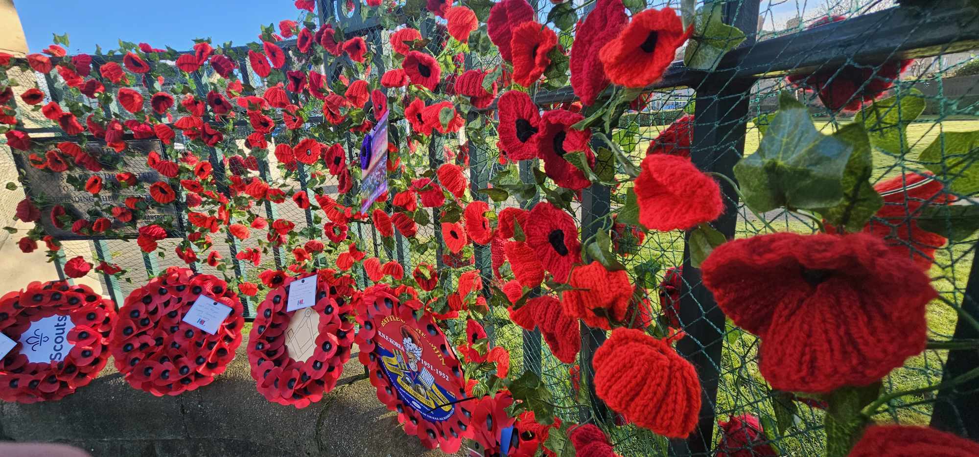 Poppies adorn the memorial park