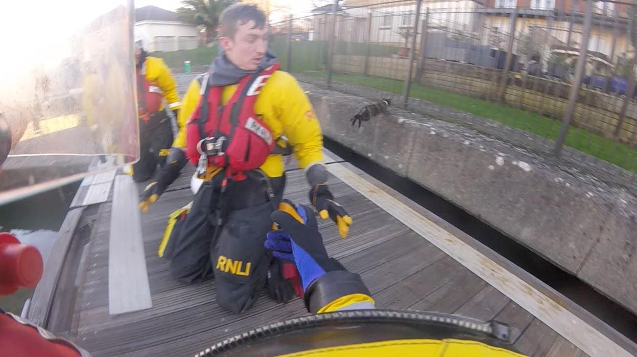 The rescued cat can just be seen springing from its pontoon prison. 