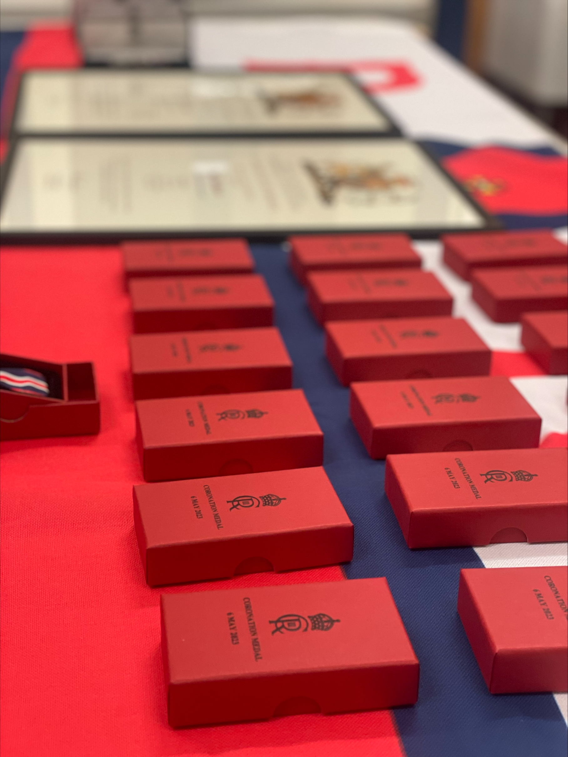 Awards and Medals lined up in red boxes 