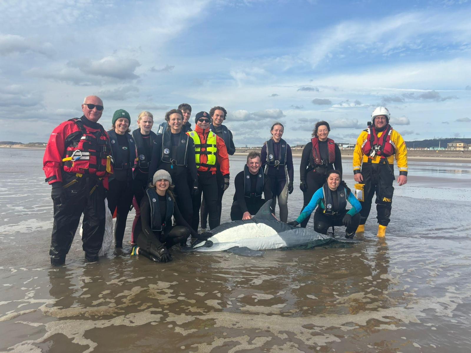 Simulated dolphin rescue 
