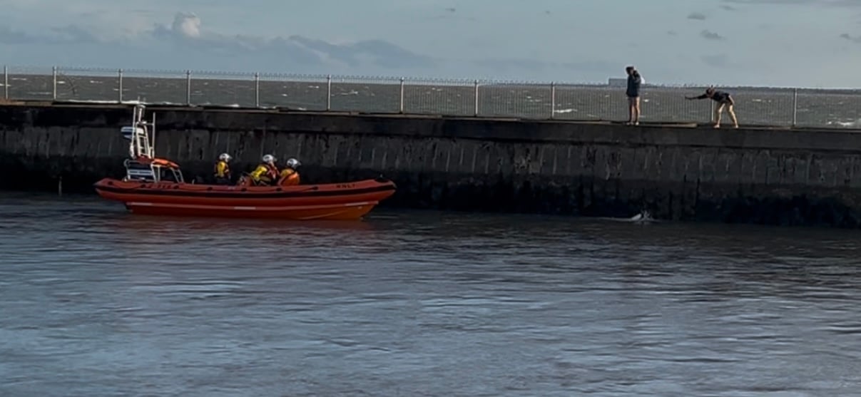 Southwold RNLI crew go to the assistance of a dog in the River Blyth, Southwold, Suffolk