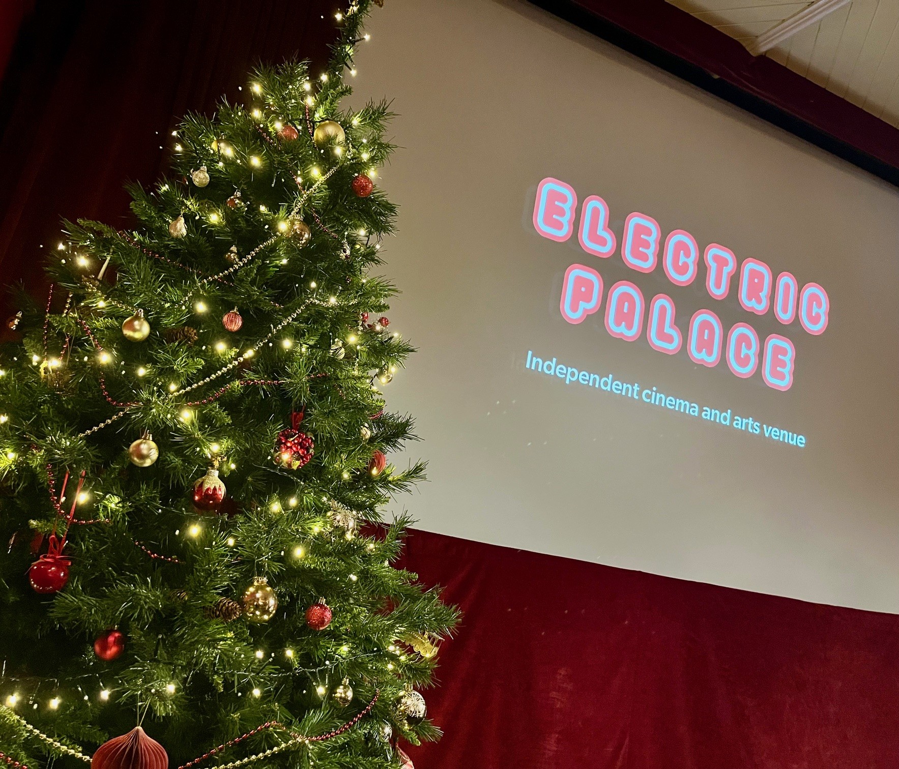 The photograph shows a well lit Christmas tree by the side of the Electric Cinema screen