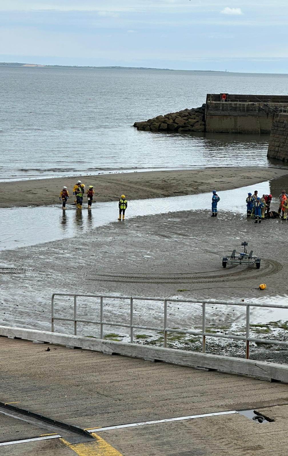 Newcastle RNLI involved in multi-agency rescue of young calf