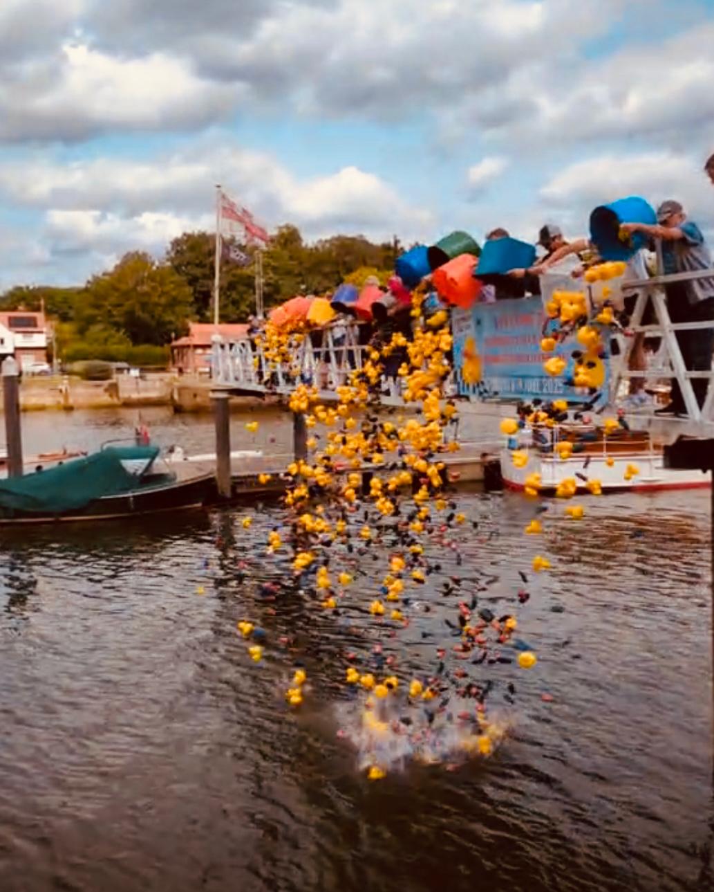 Toy ducks fall into the river