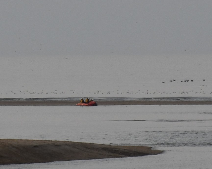 Wells RNLI D class lifeboat accompanied by geese. Lifeboat in distance with geese flying over