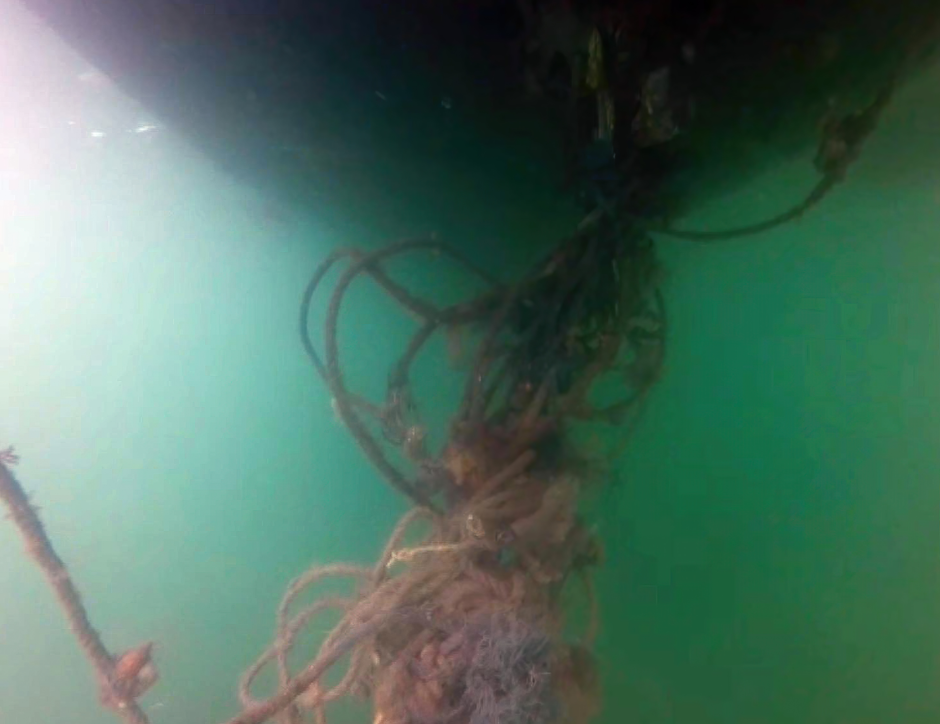 An underwater shot with a light brown spaghetti of ropes below the yacht.