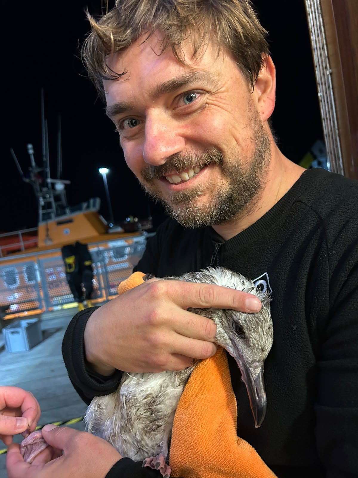 RNLI crew member holding an injured baby seagull
